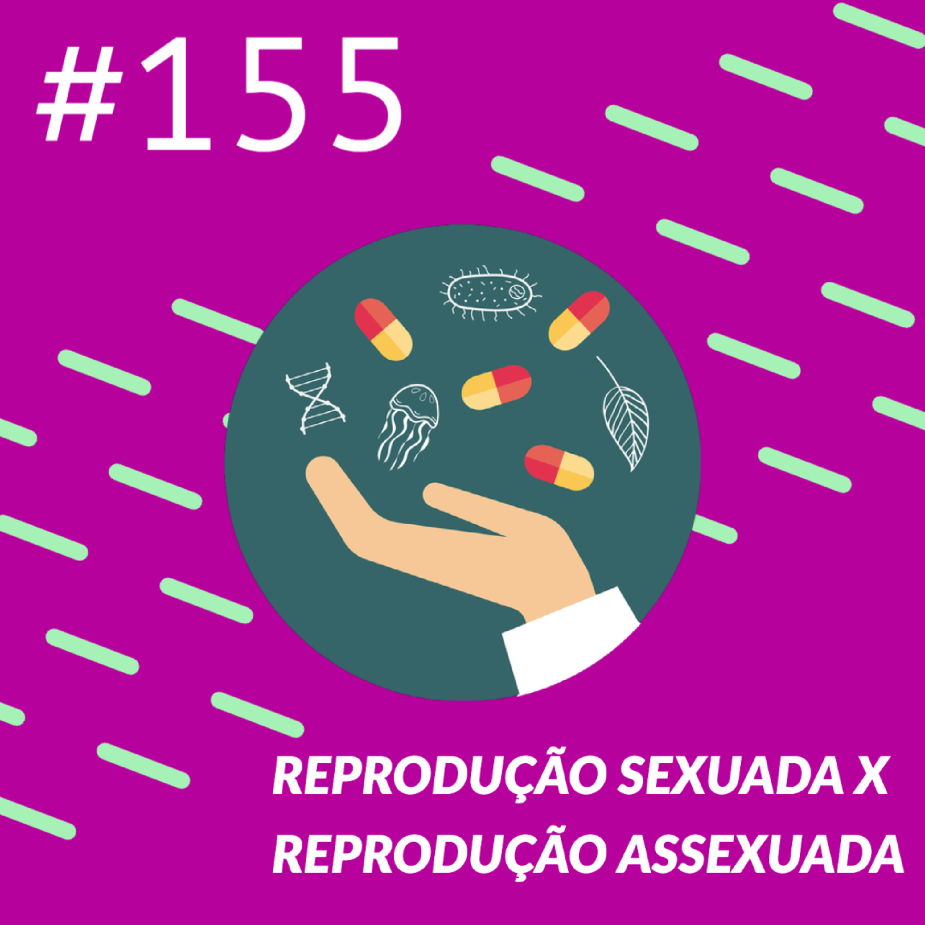 Reprodução Sexuada x Reprodução Assexuada episode artwork