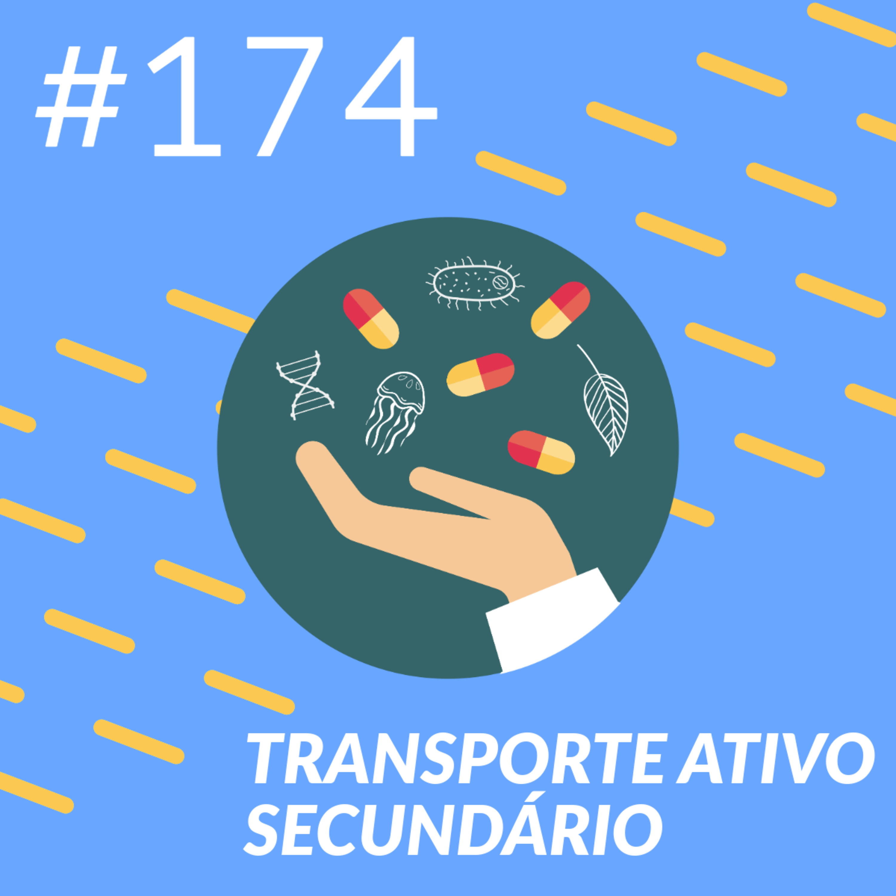 Transporte Ativo Secundário episode artwork
