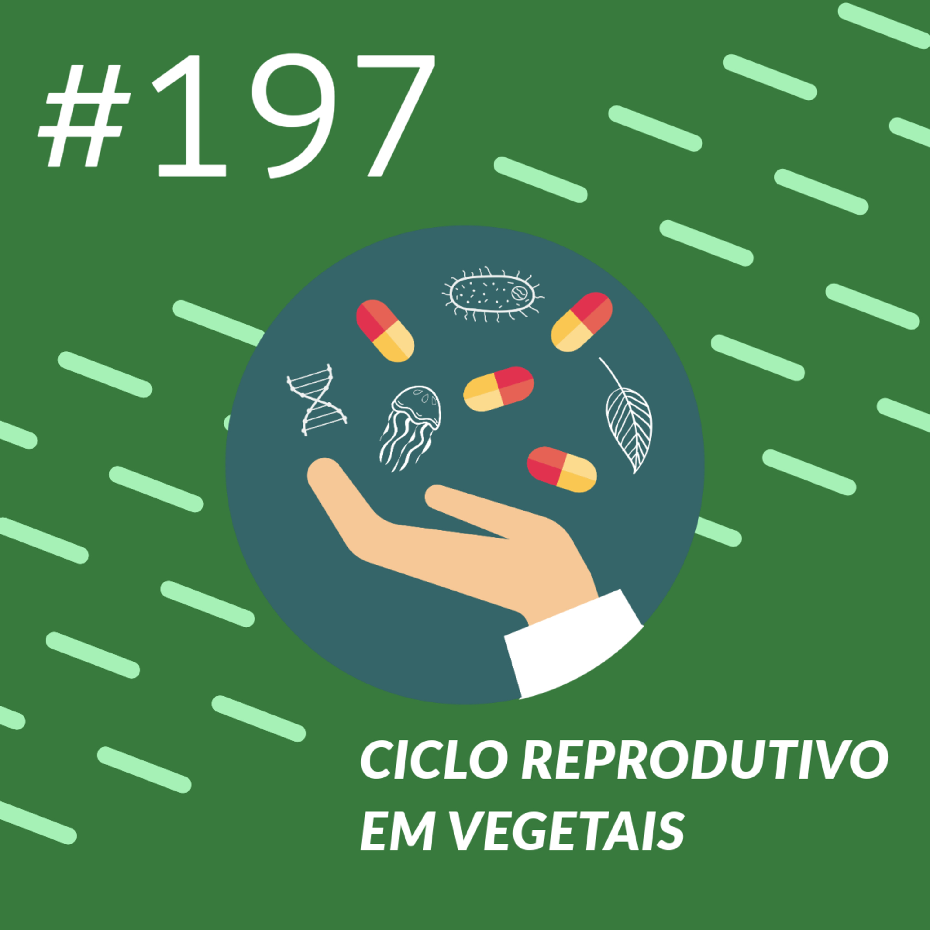 Ciclo reprodutivo em vegetais episode artwork