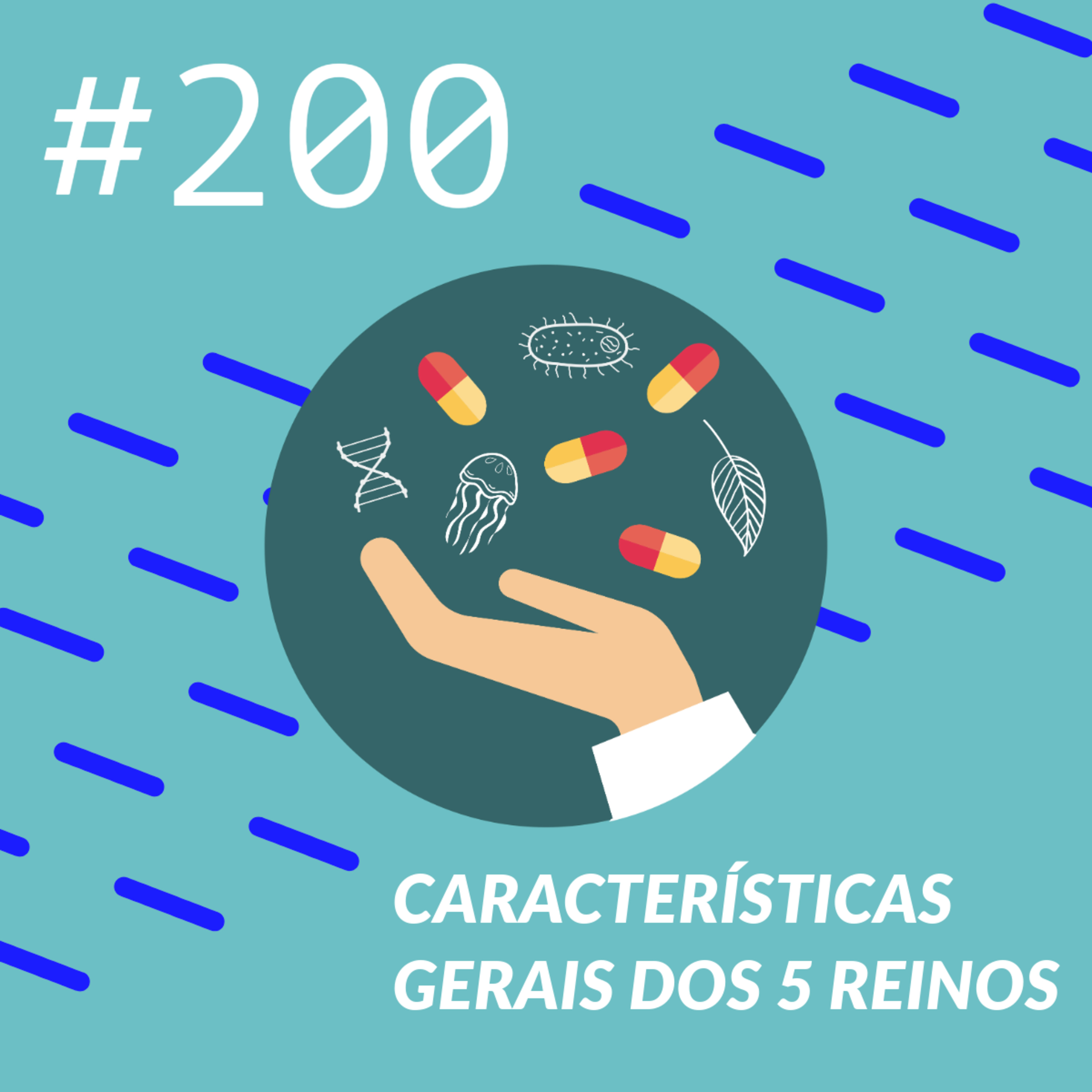 Características gerais dos 5 reinos episode artwork