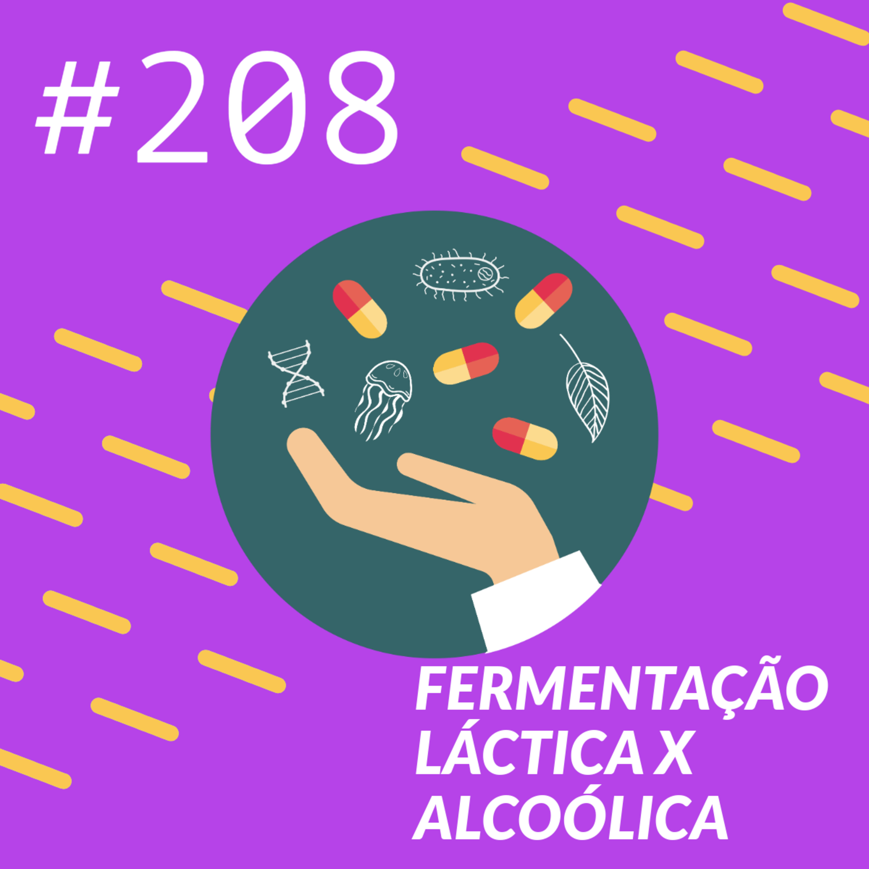 Fermentação Láctica x Alcoólica episode artwork