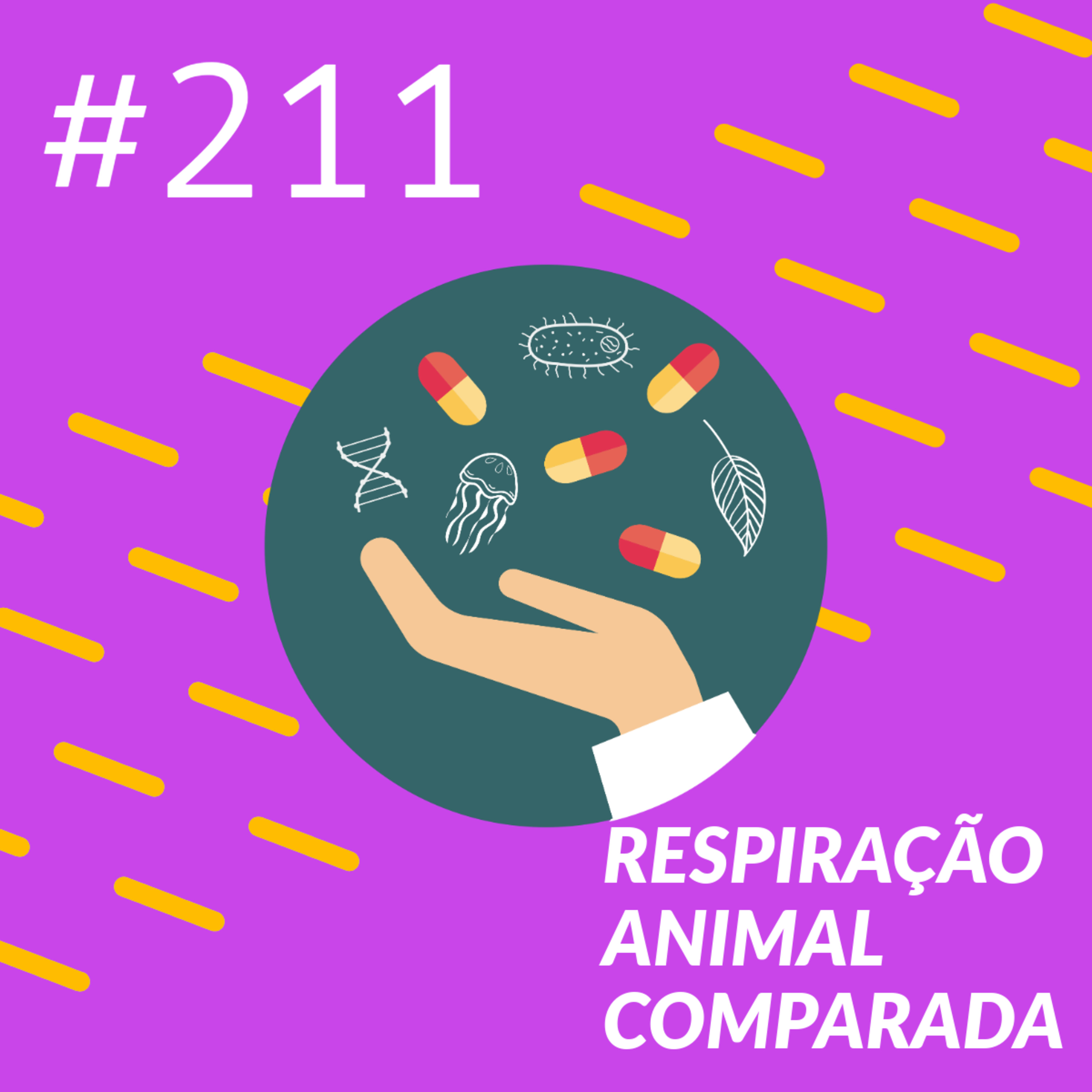 Respiração animal comparada episode artwork