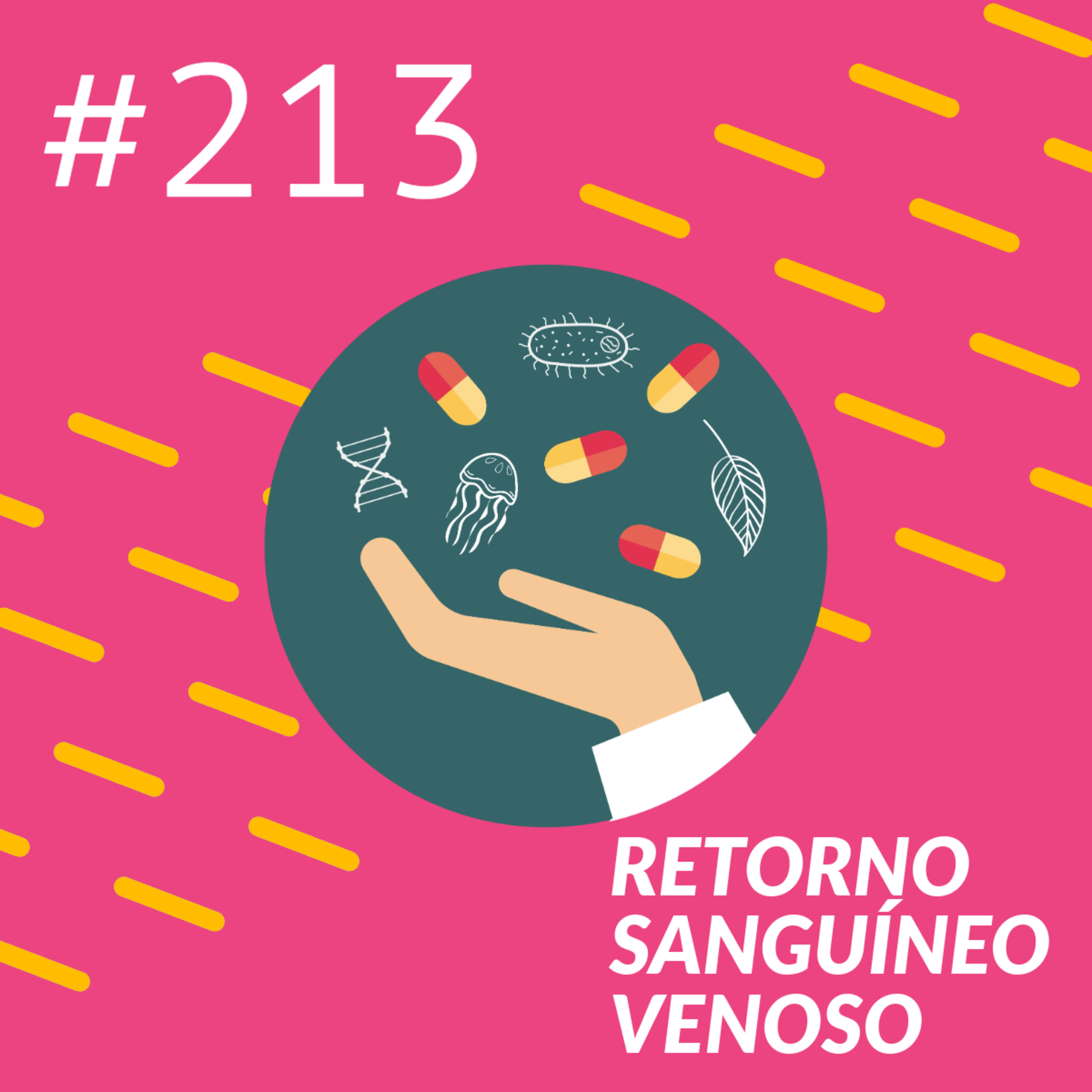 Retorno sanguíneo venoso episode artwork