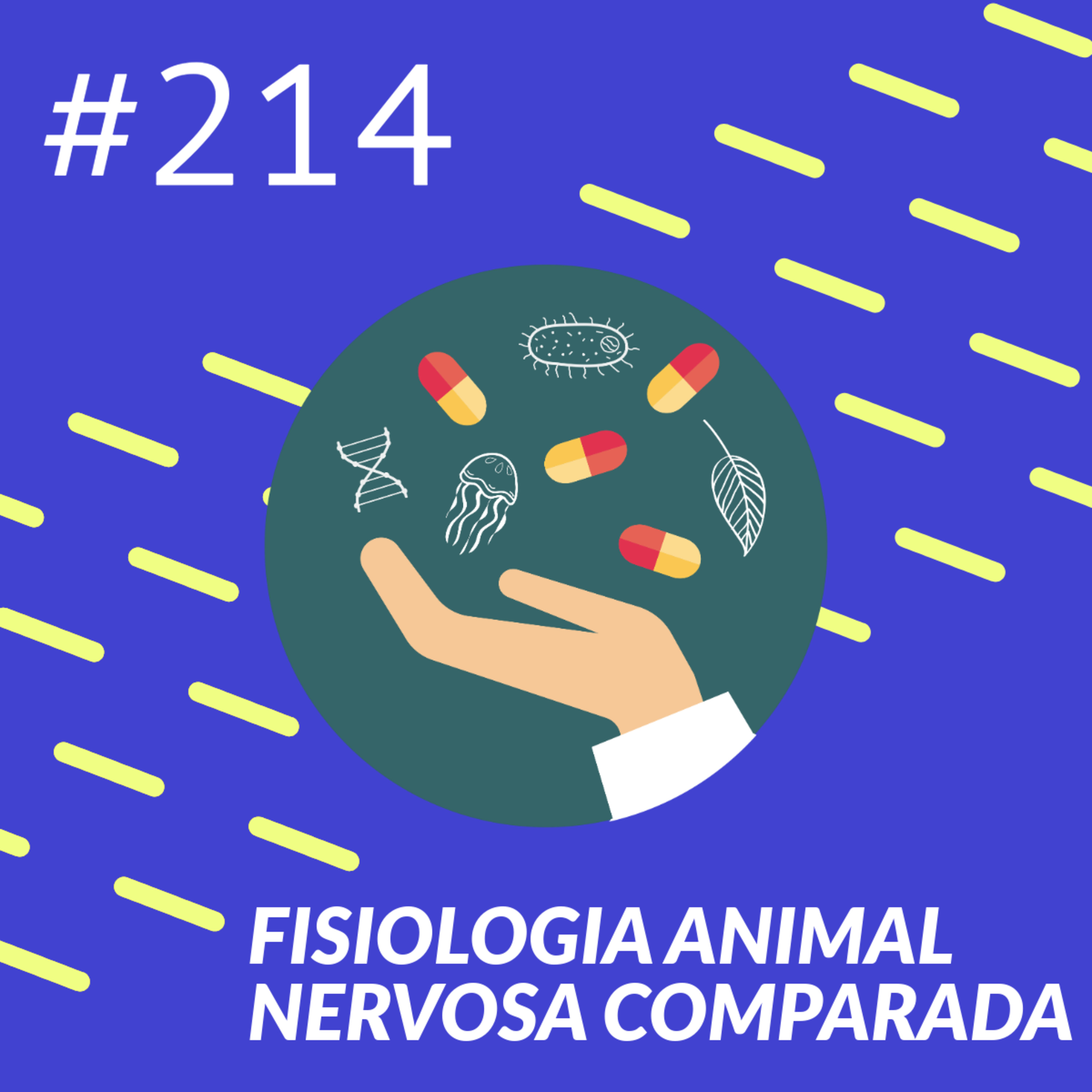 Fisiologia animal nervosa comparada episode artwork