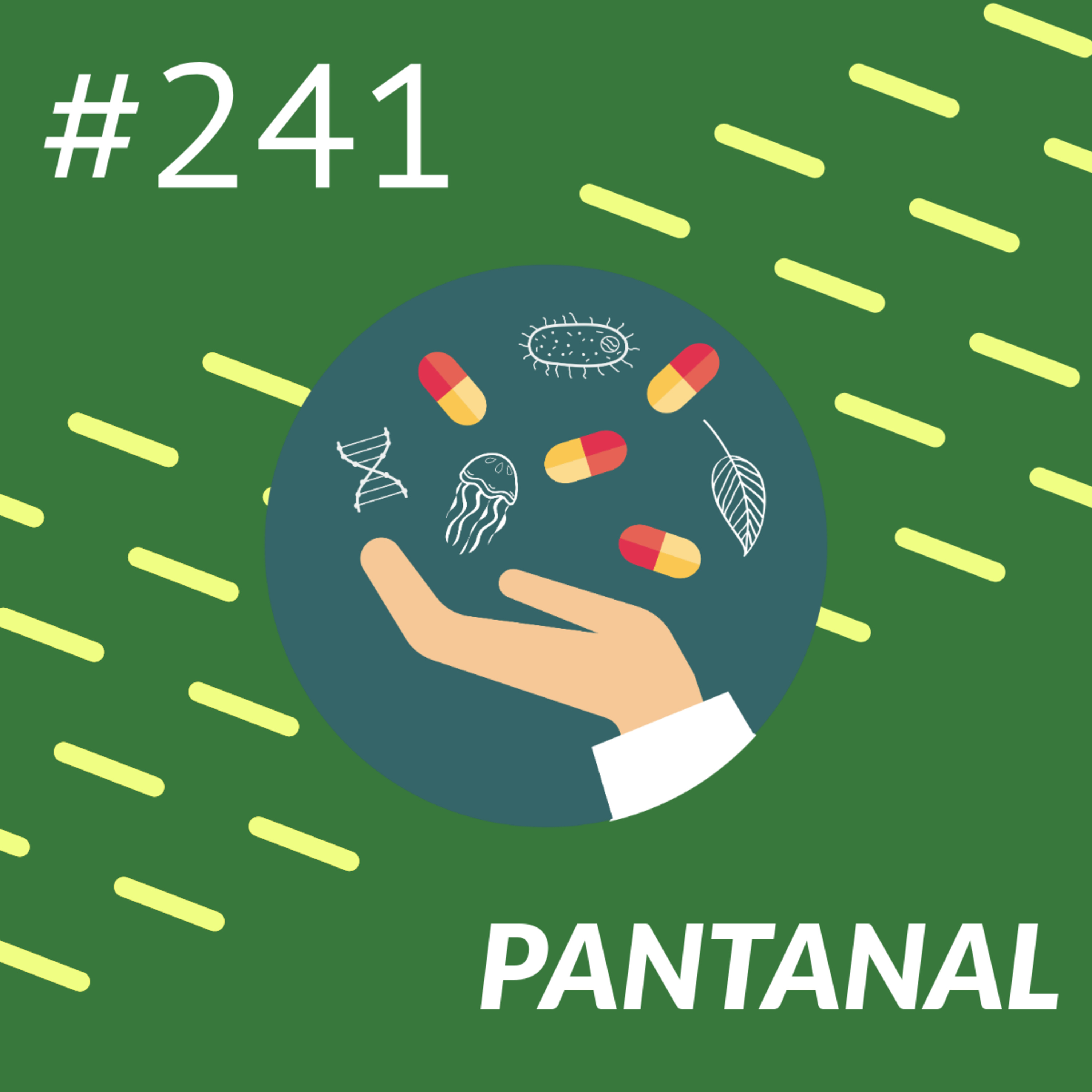 Pantanal episode artwork