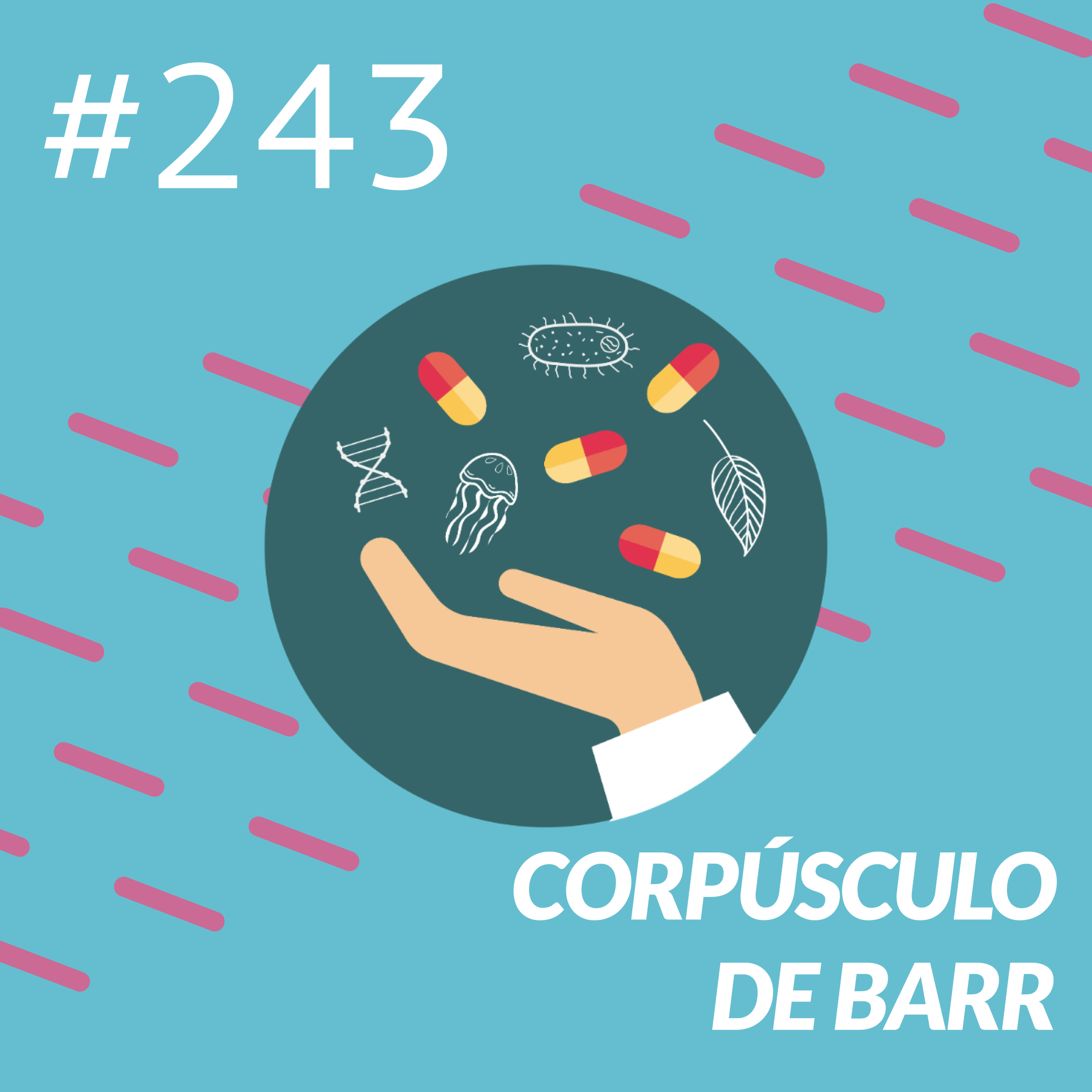 Corpúsculo de Barr episode artwork