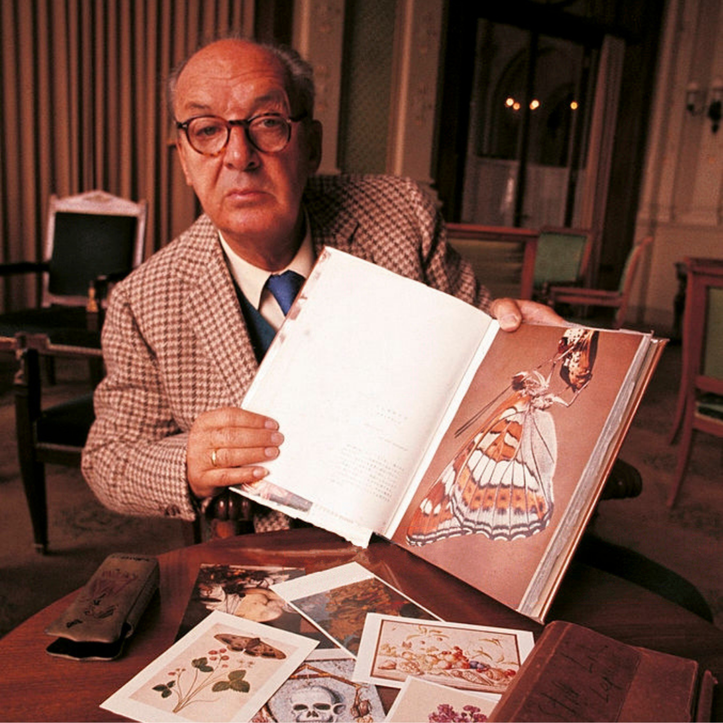 #455. Vladimir Nabokov Kurmancîya Kelebekê Dipirse episode artwork