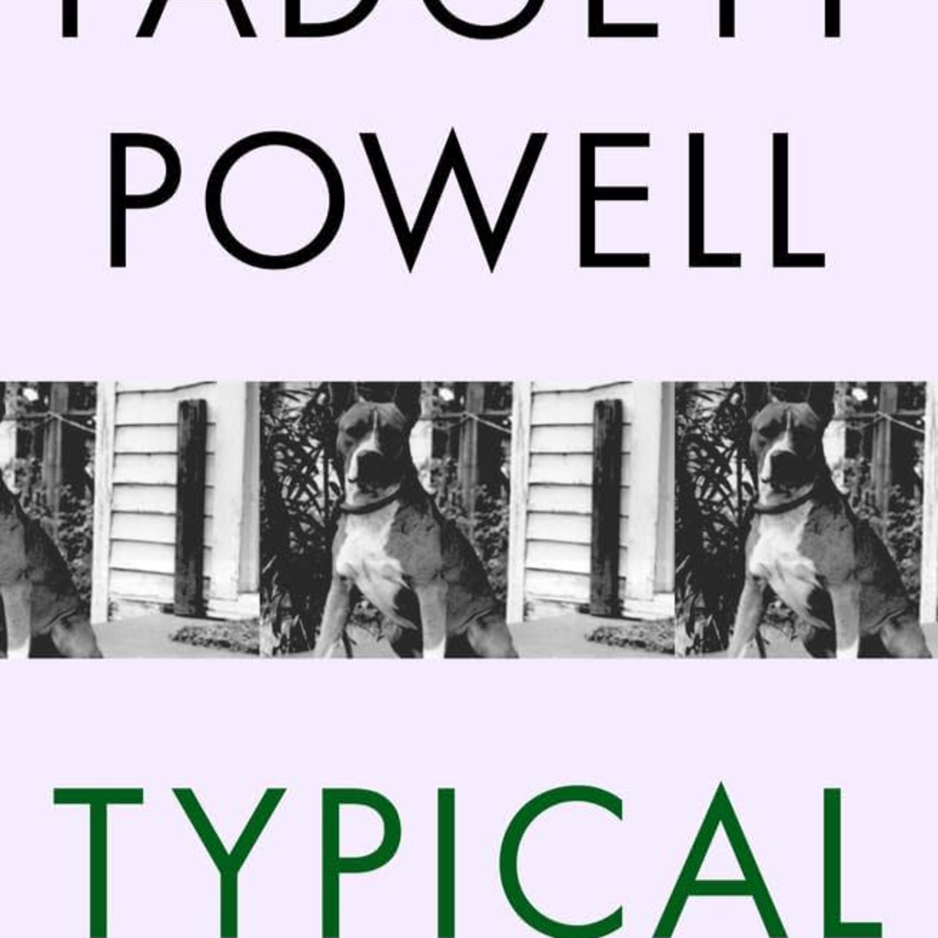 Typical - Padgett Powell episode artwork