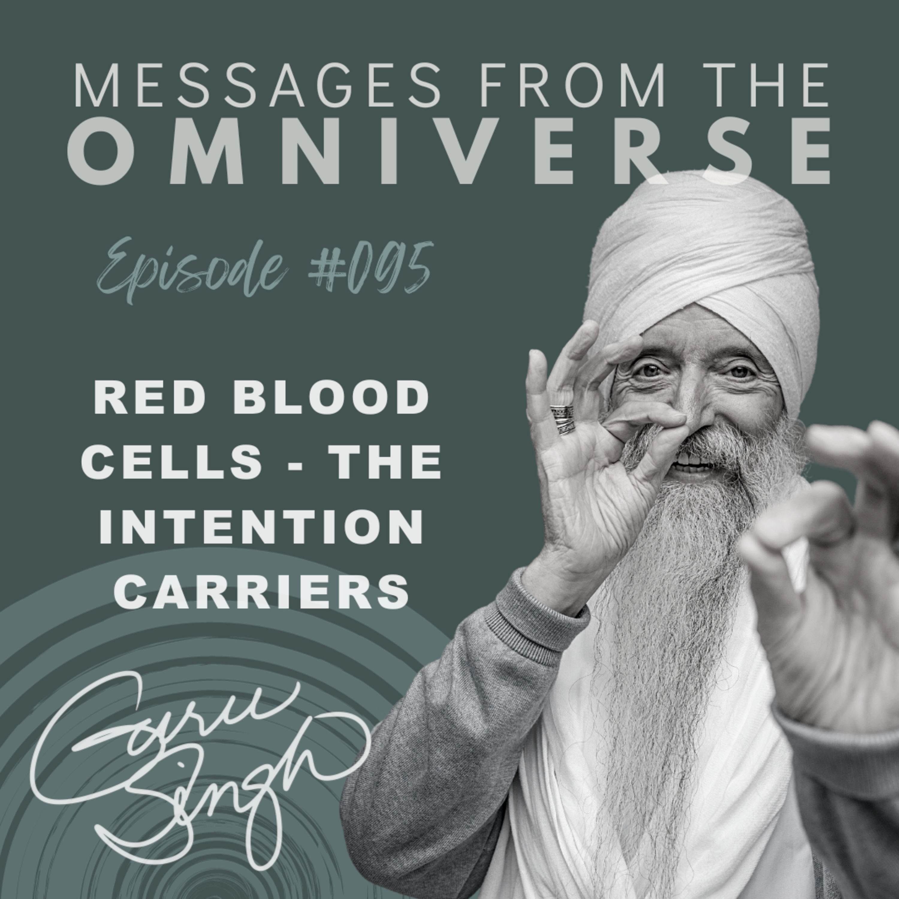 [095] Red Blood Cells - The Intention Carriers