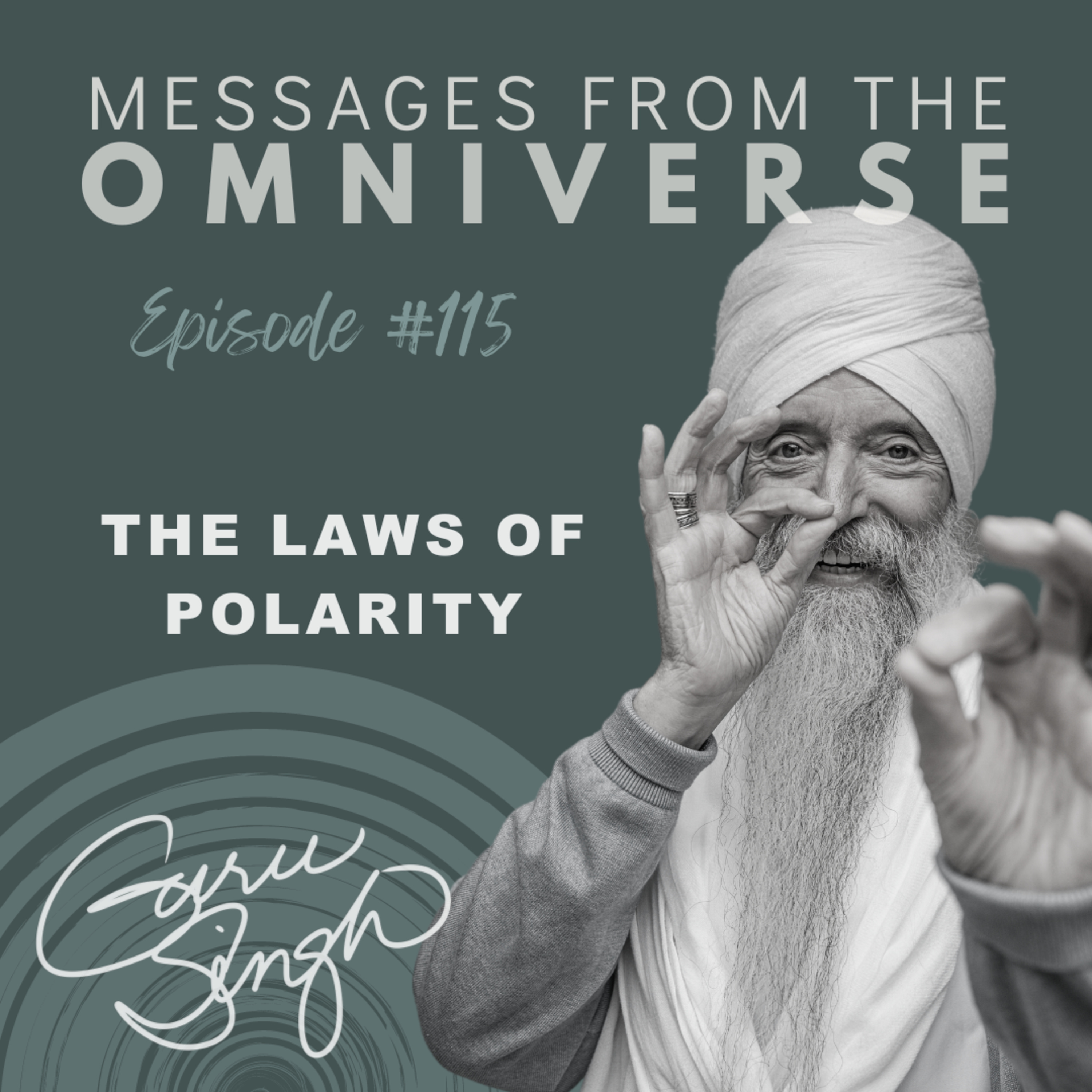 [115] The Laws of Polarity episode artwork