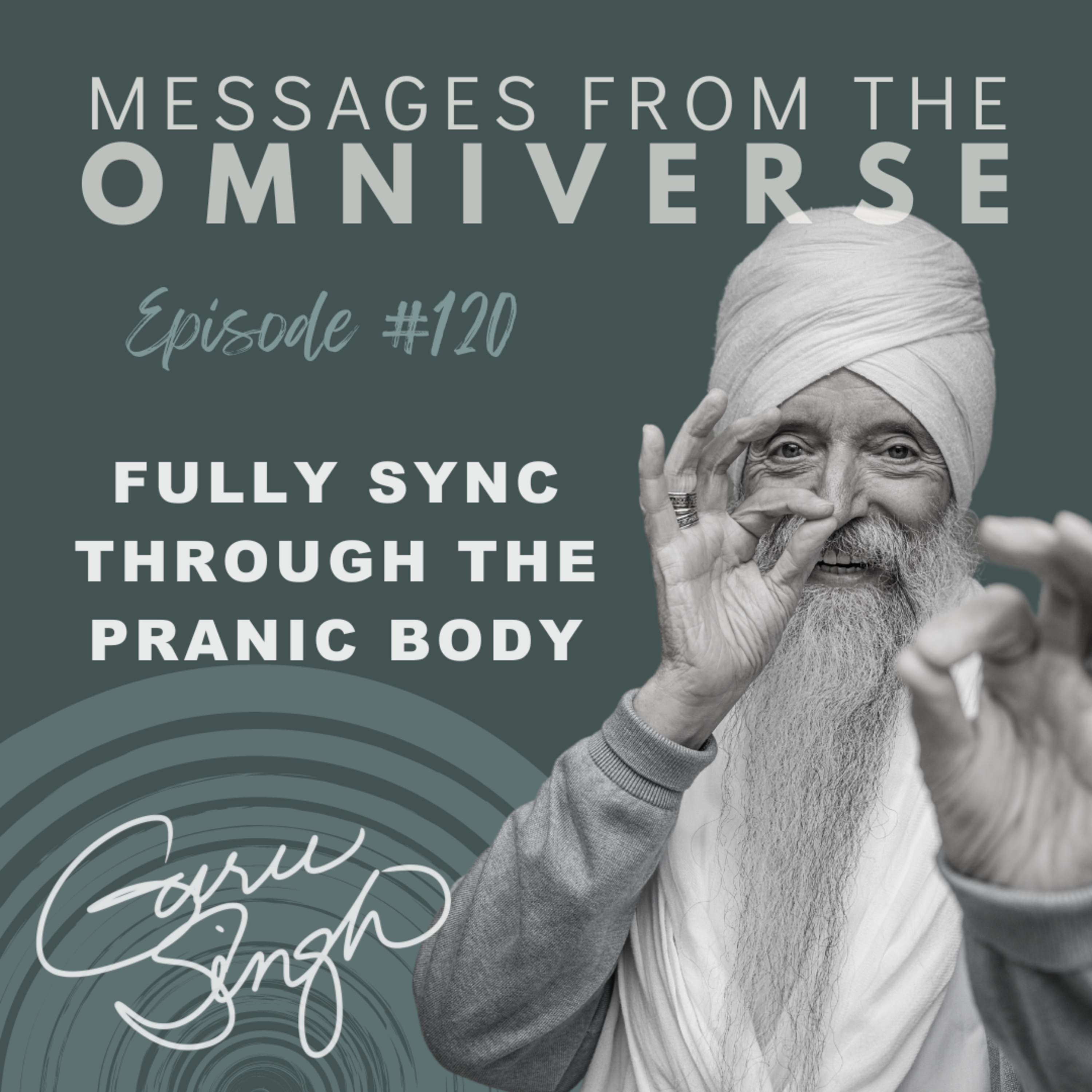 [120] Fully Sync Through the Pranic Body