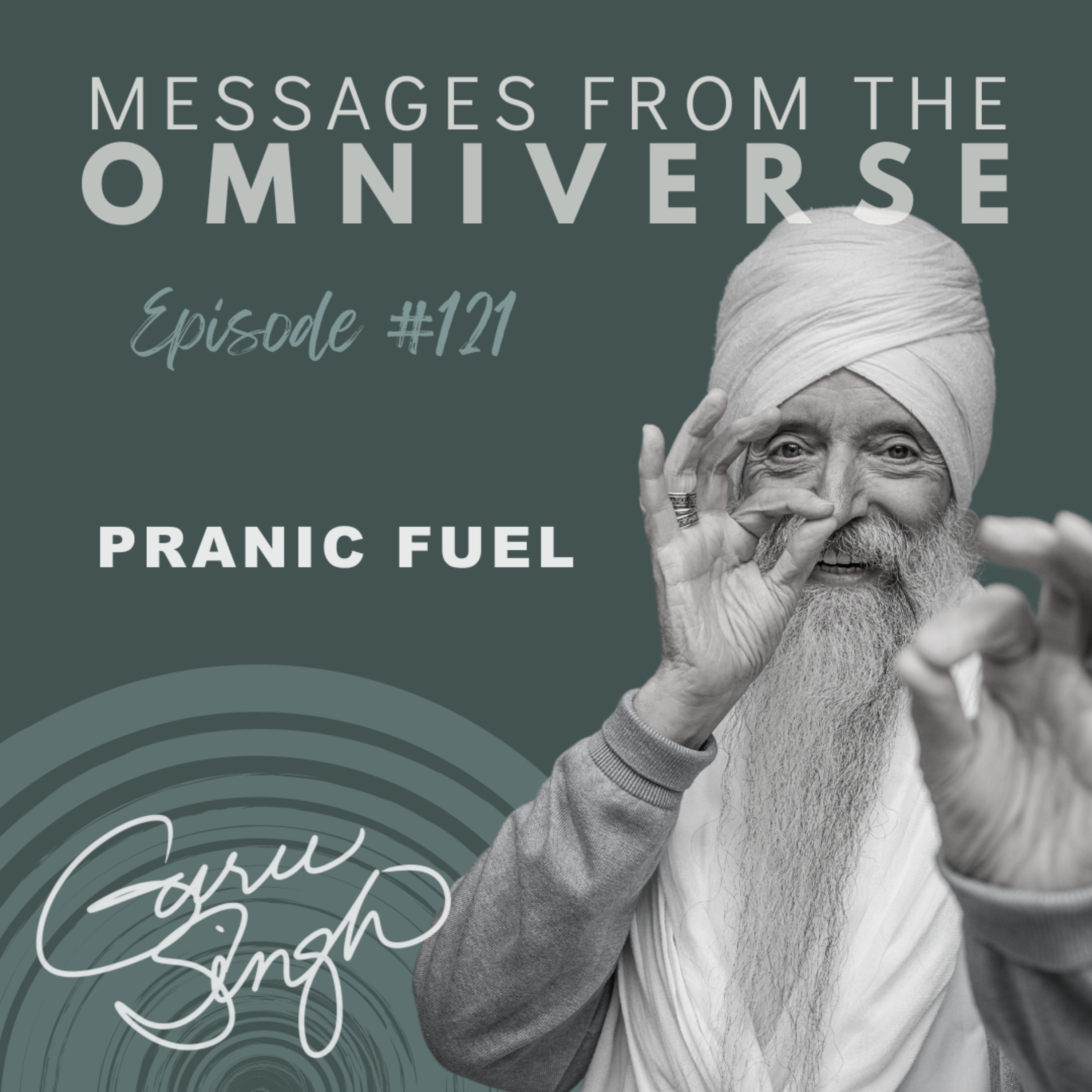[121] Pranic Fuel
