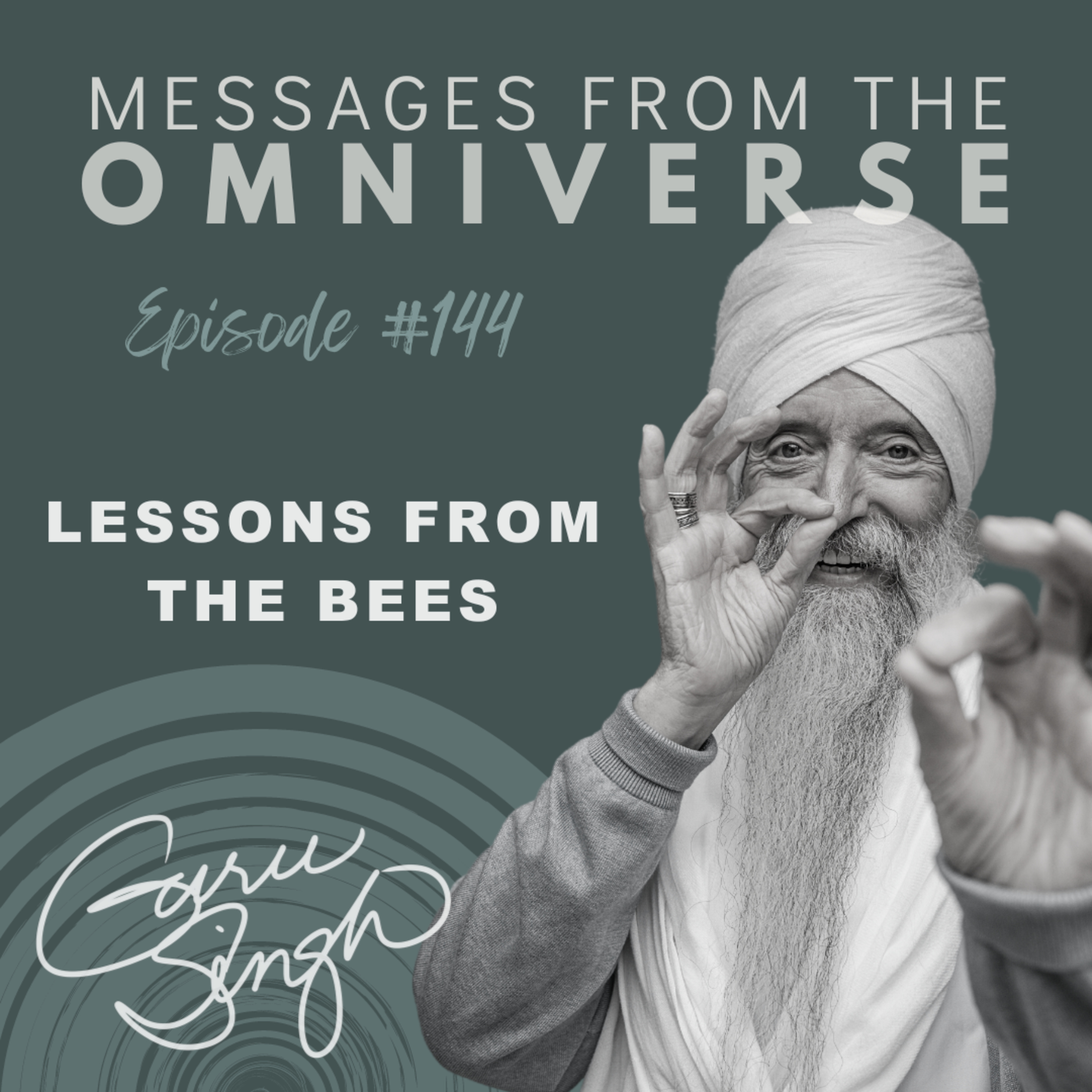 [144] Lessons From the Bees episode artwork