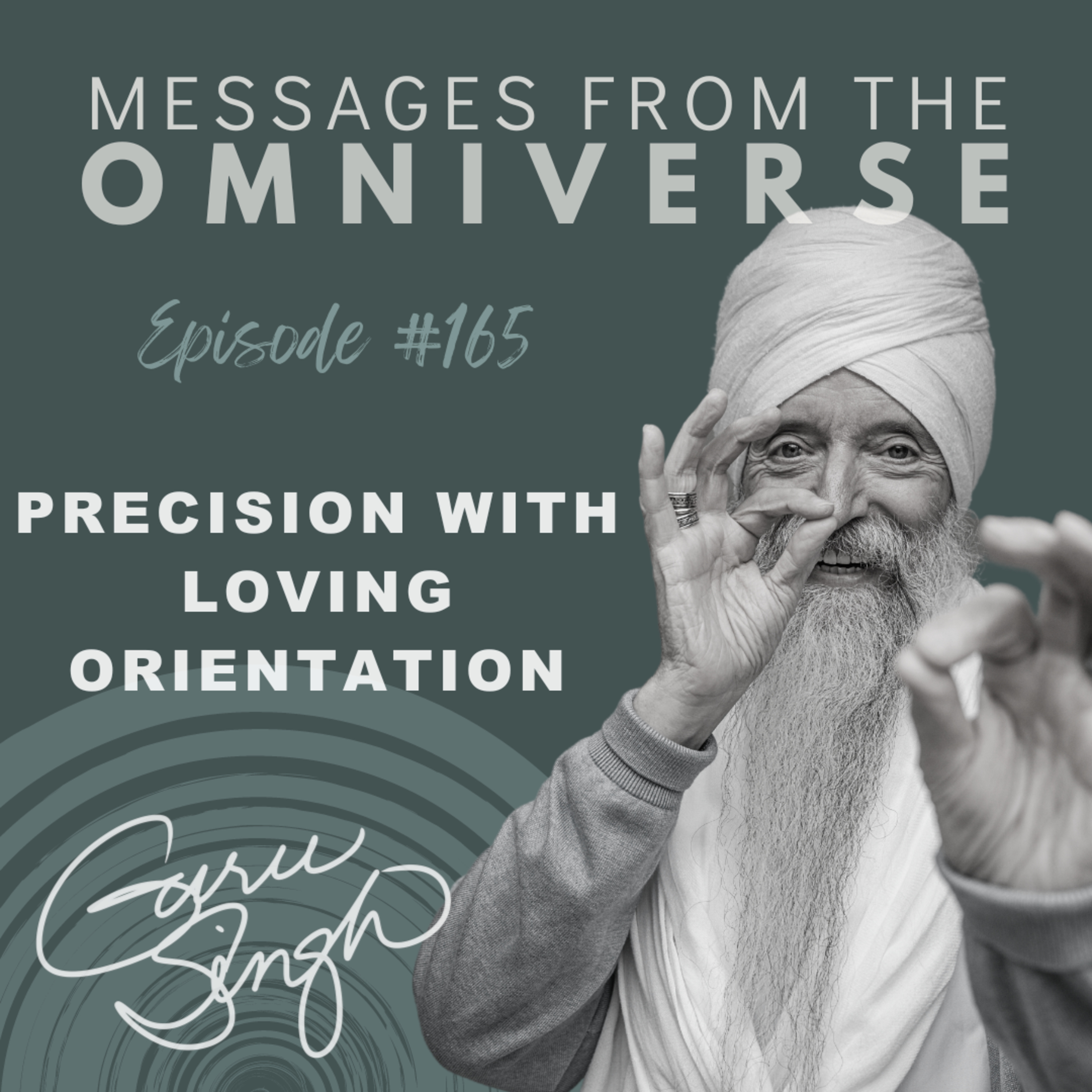[165] Precision With Loving Orientation episode artwork