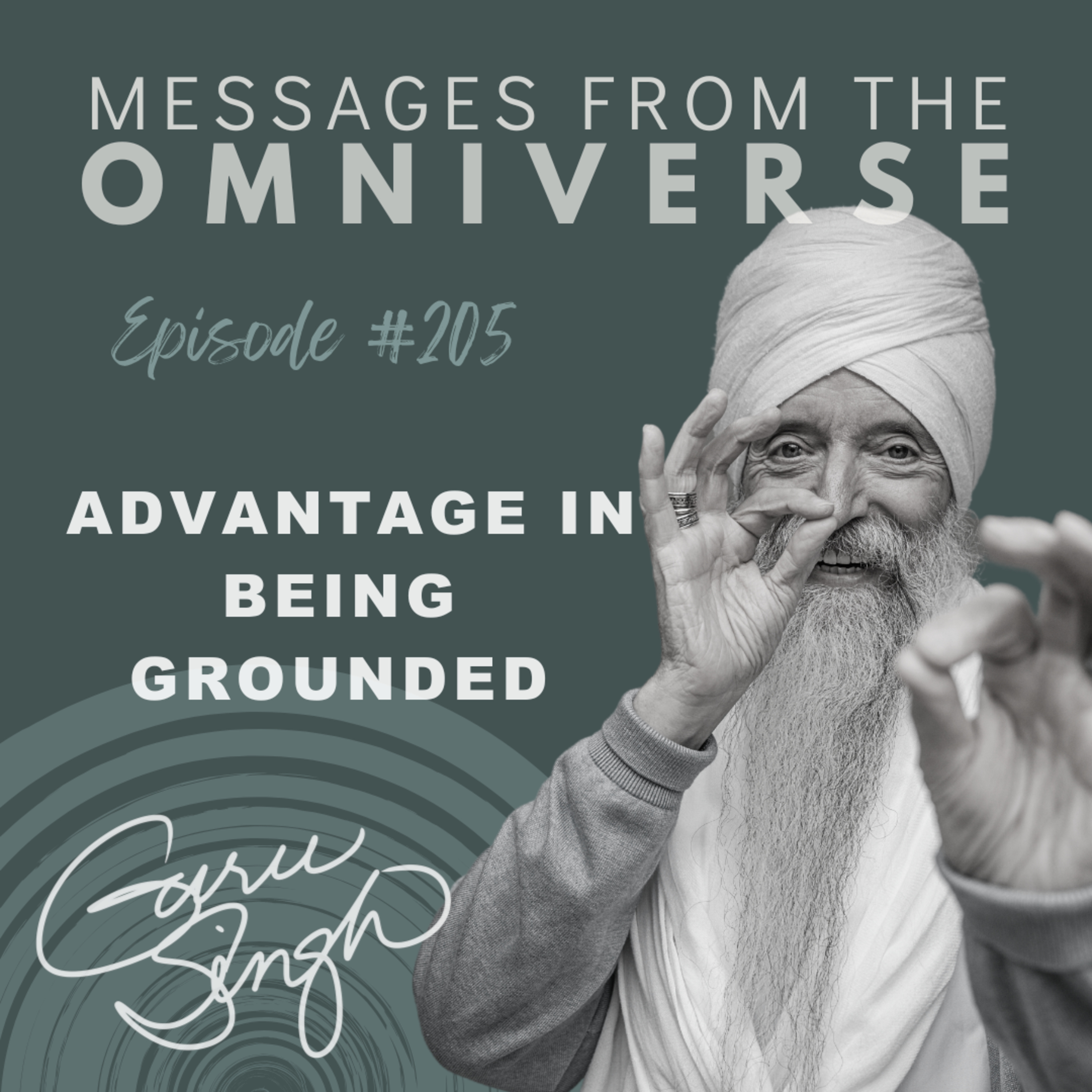 [205] Advantage In Being Grounded episode artwork