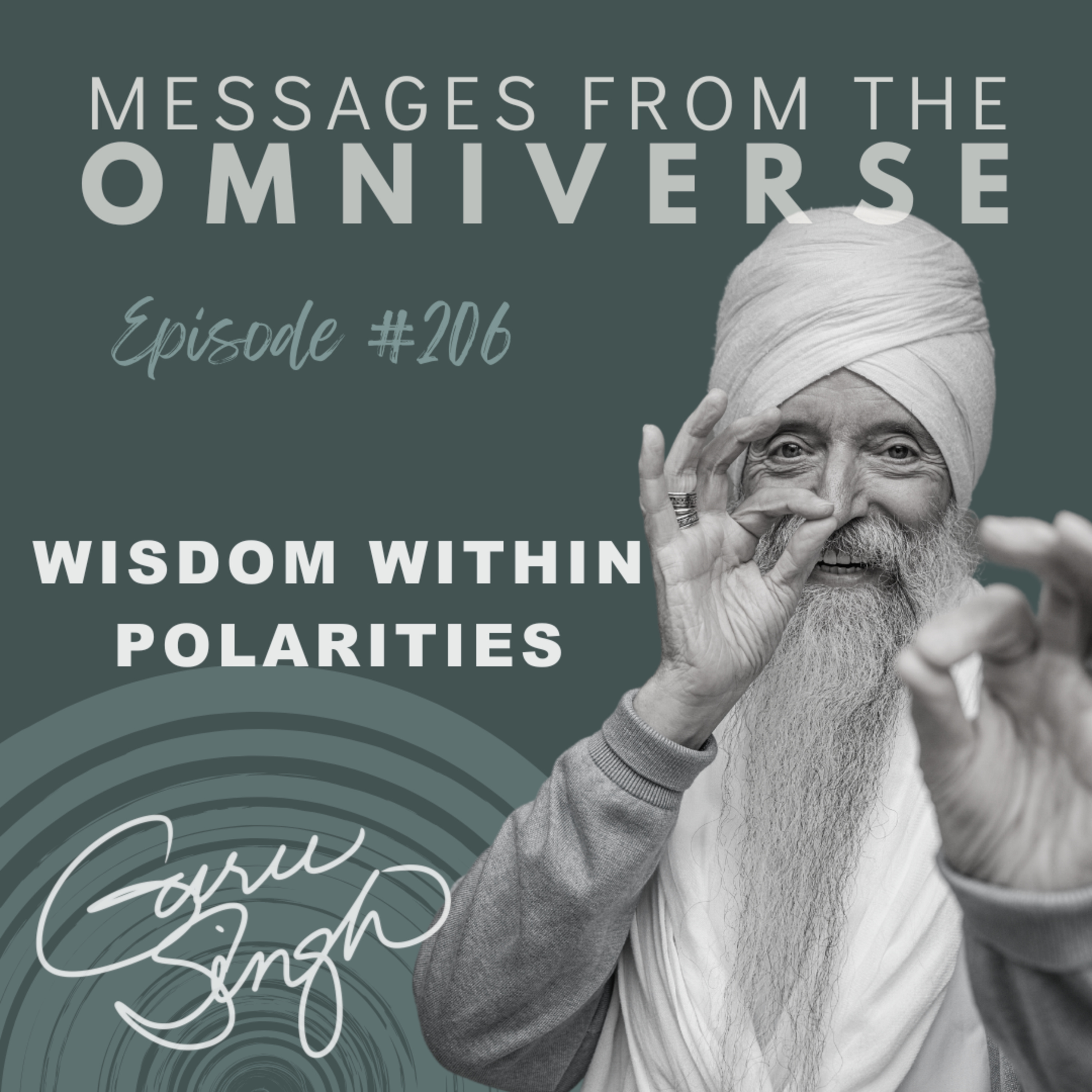 [206] Wisdom Within Polarities episode artwork