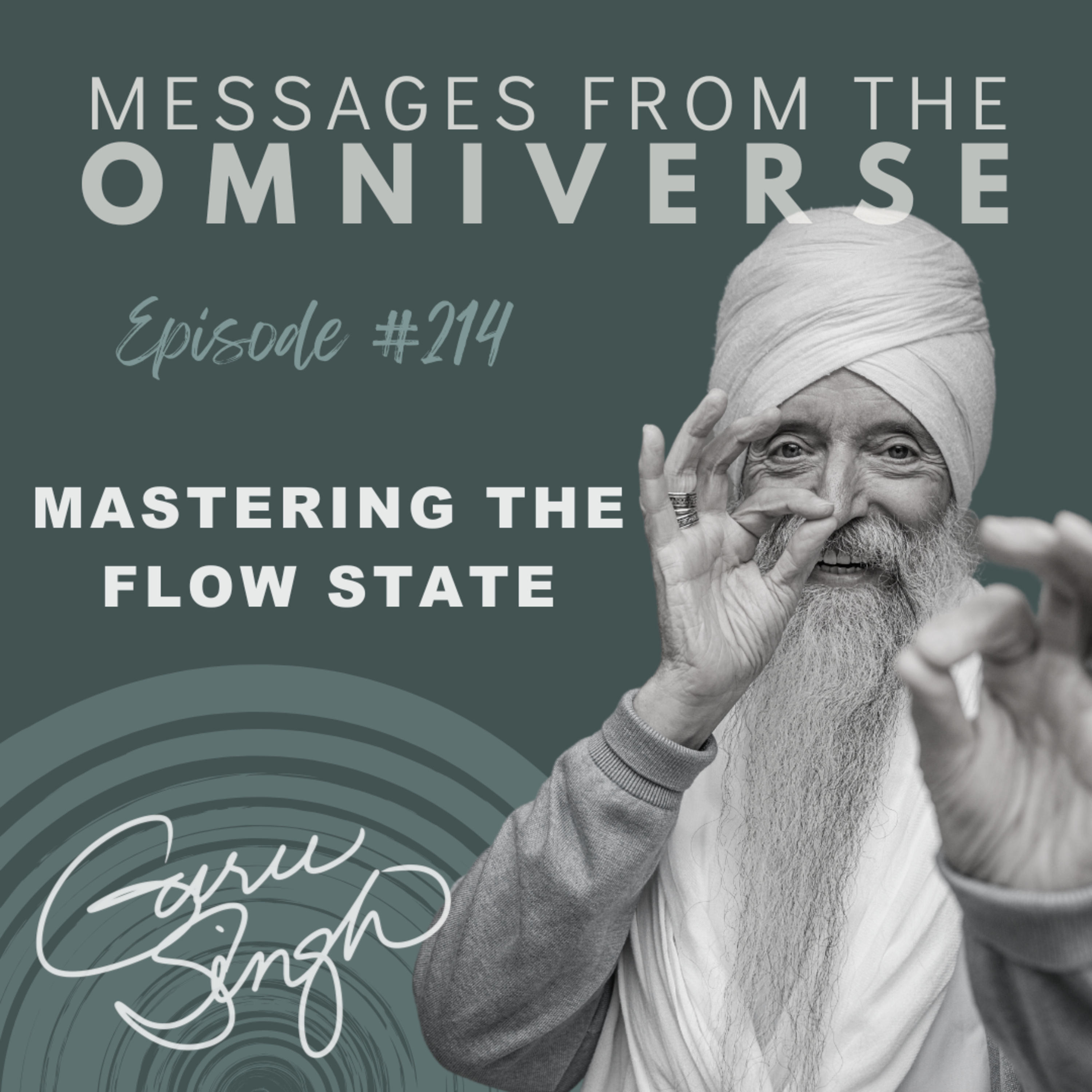 [214] Mastering the Flow State episode artwork