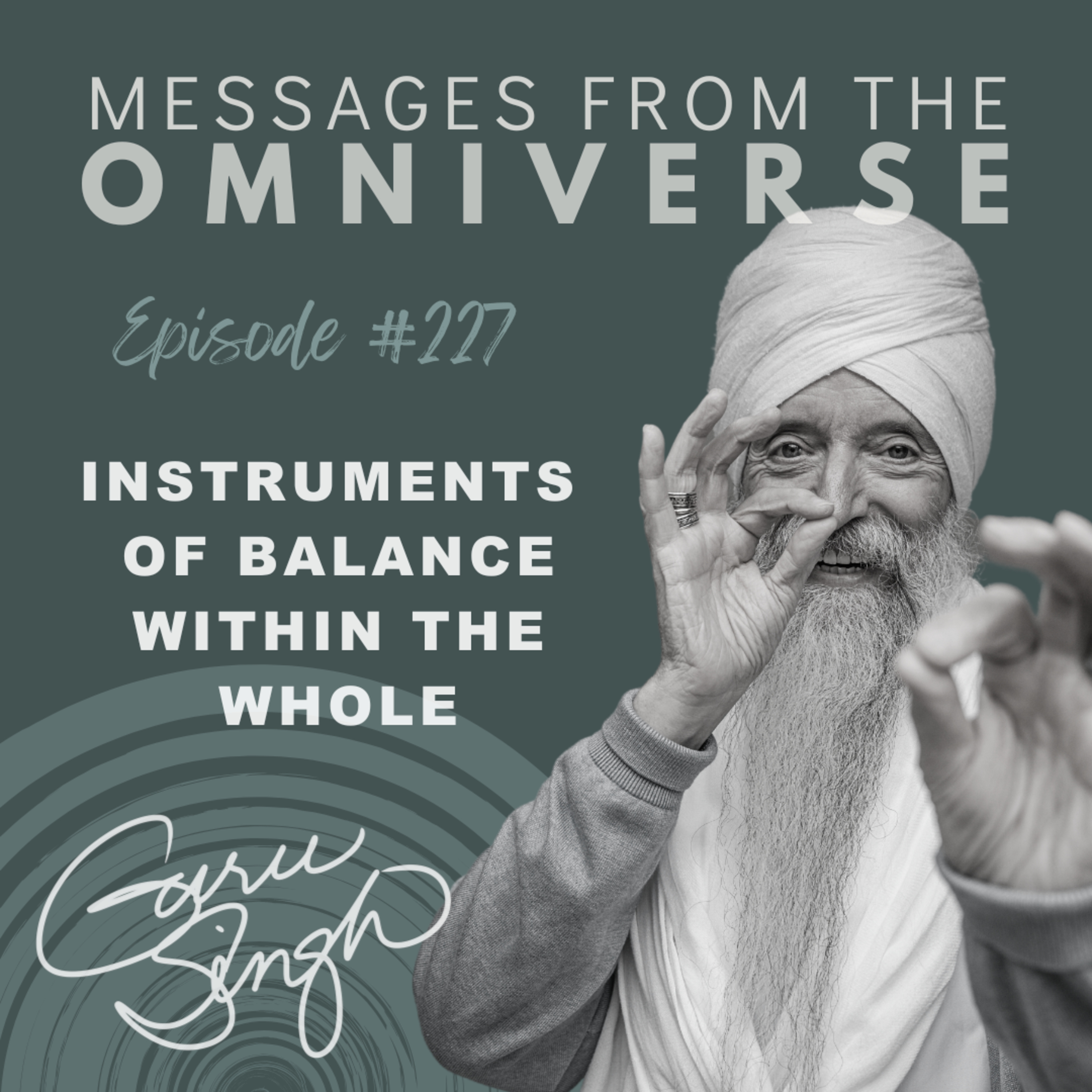 [227] Instrument of Balance Within the Whole episode artwork