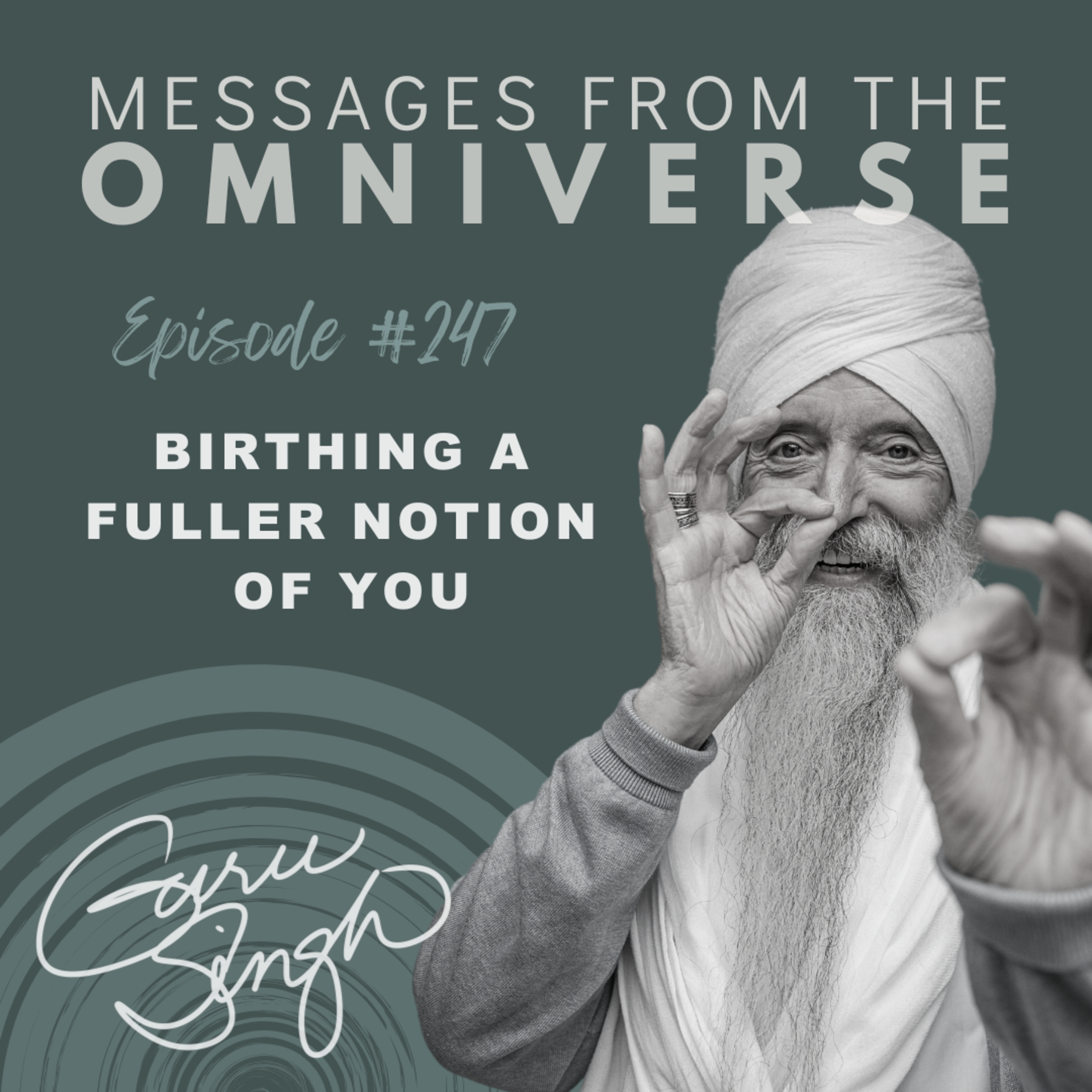 [247] Birthing a Fuller Notion of You episode artwork