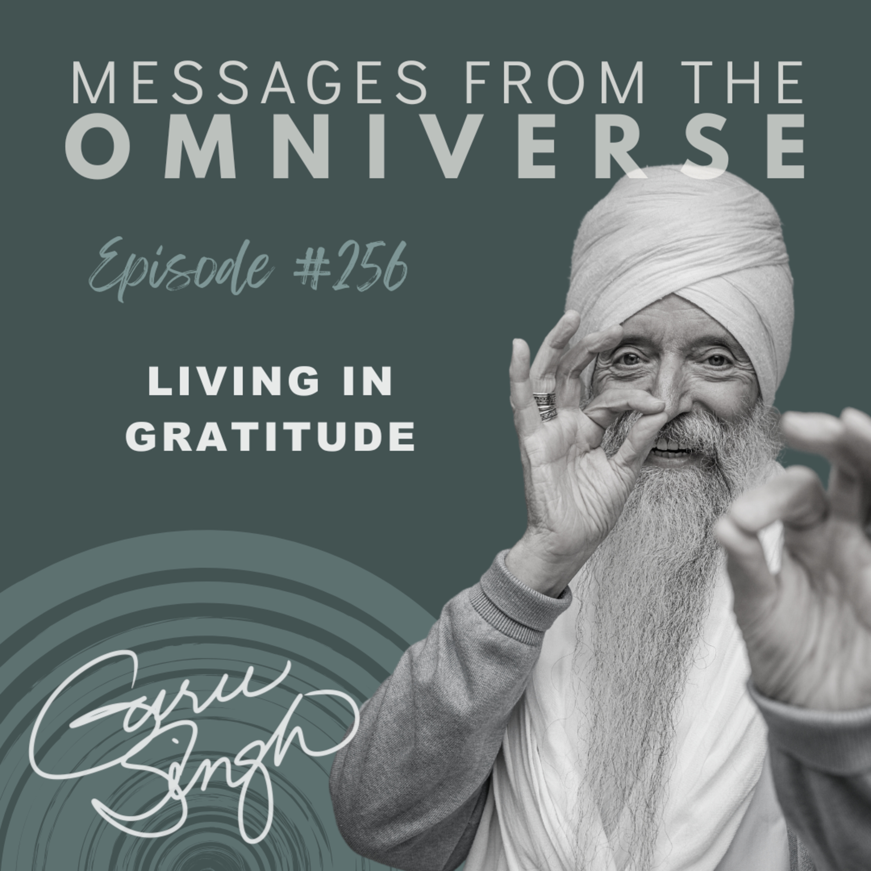 [256] Living in Gratitude episode artwork