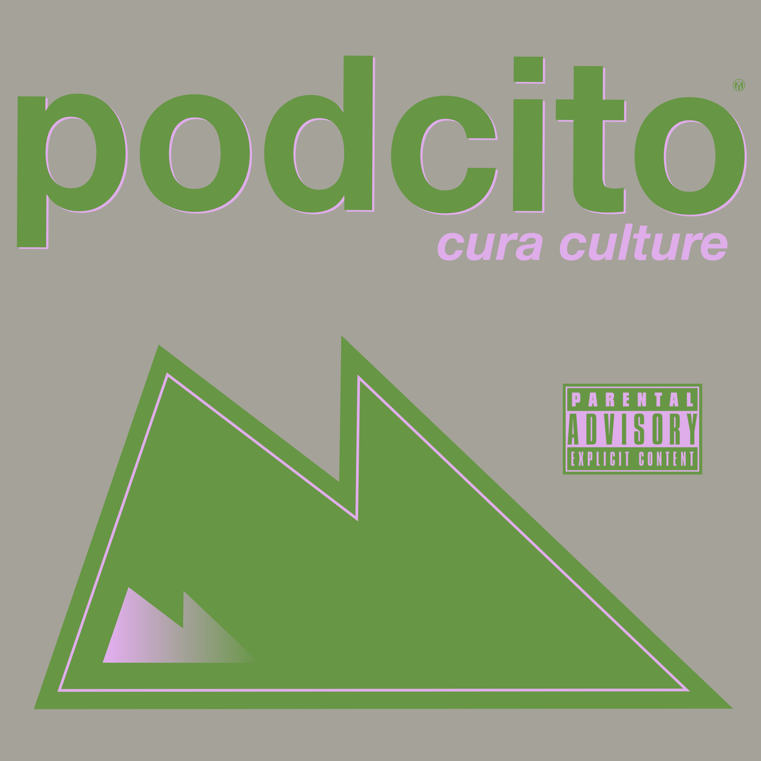 317podcito episode artwork