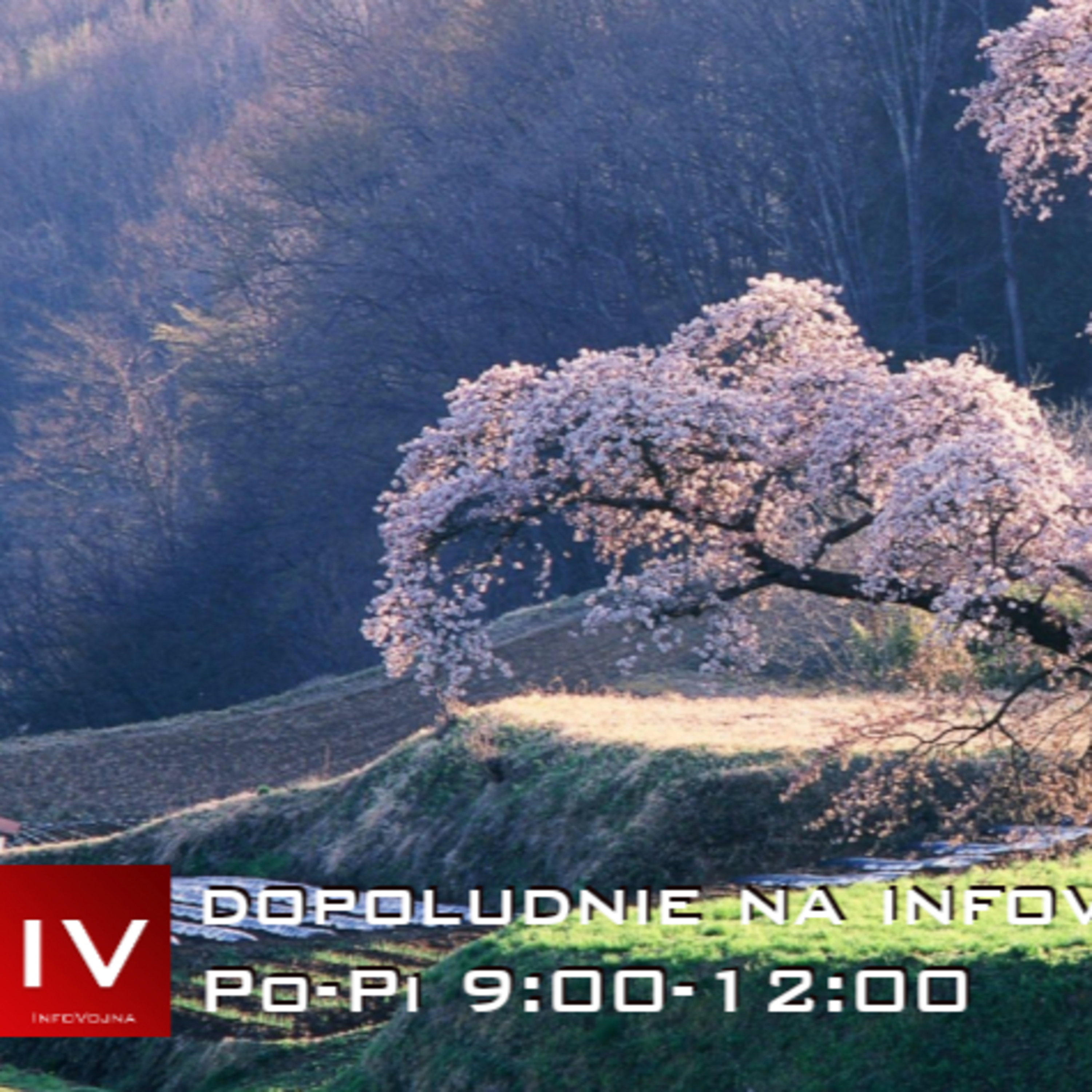 Dopoludnie na Infovojne s Adrianom 3.5.2023 episode artwork