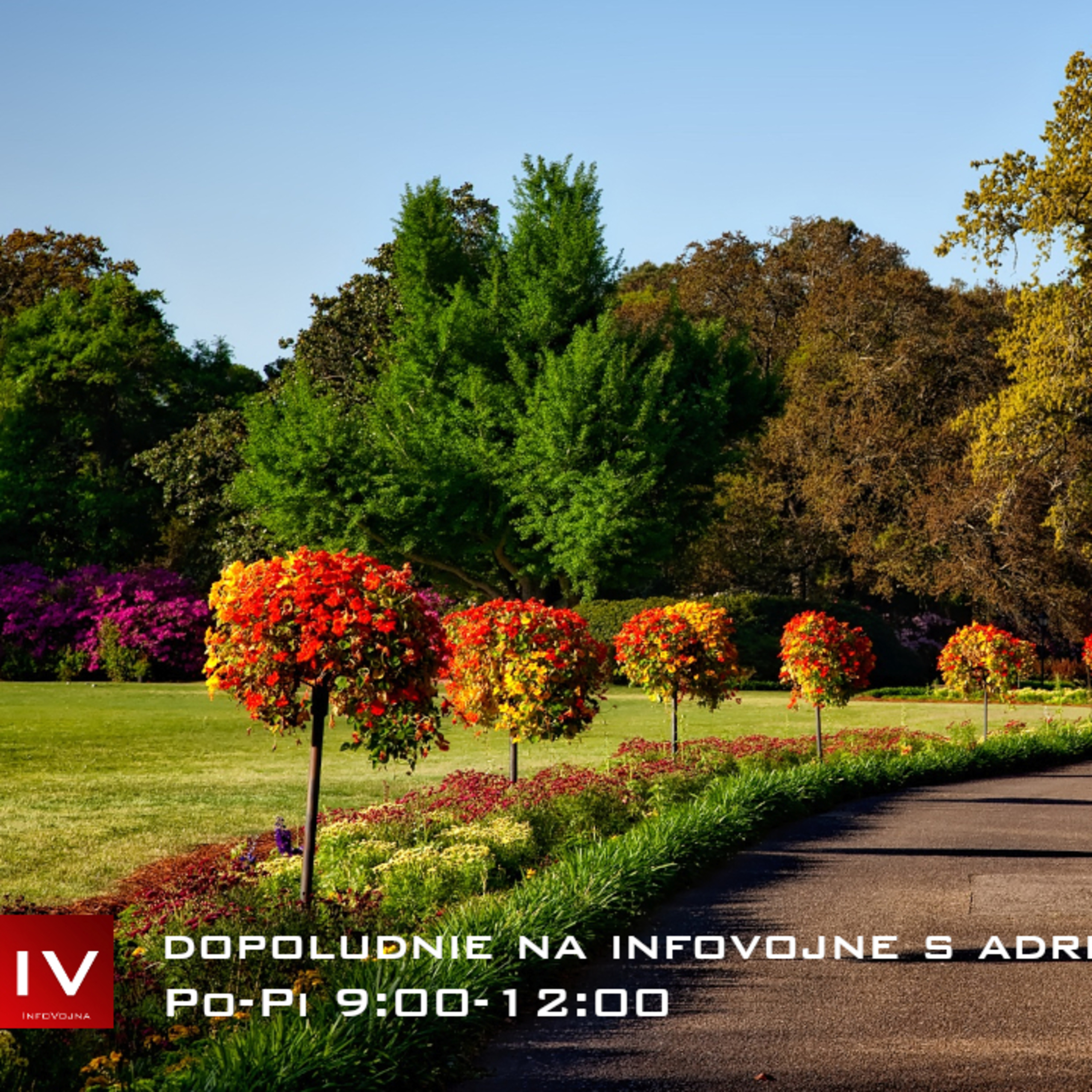 Dopoludnie na Infovojne s Adrianom 10.5.2023 episode artwork