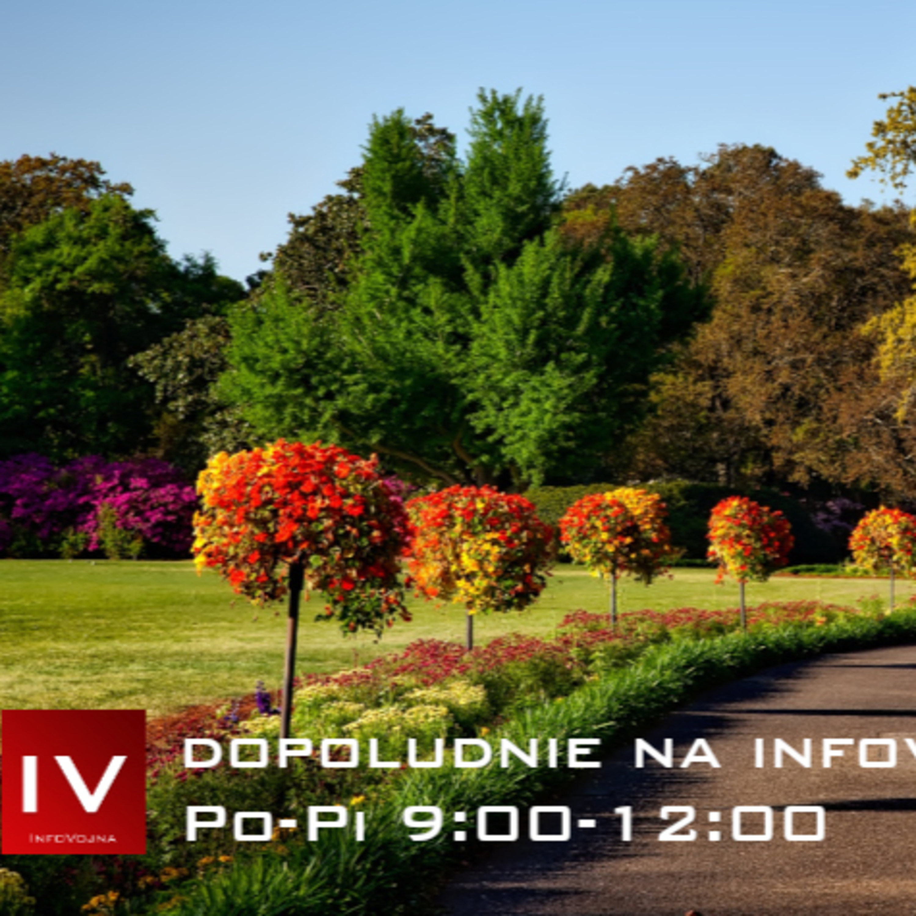Dopoludnie na Infovojne s Adrianom 19.5.2023 episode artwork
