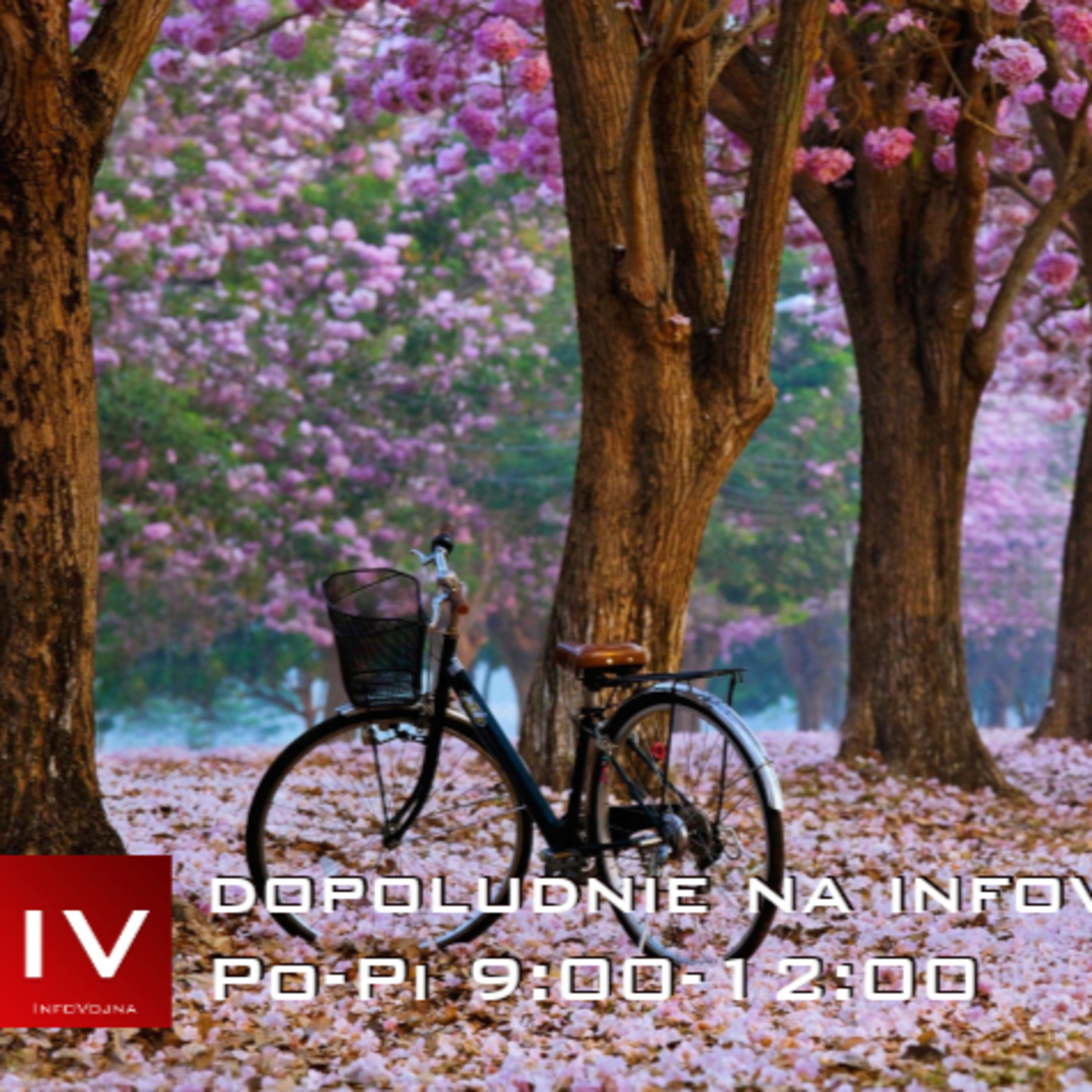 Dopoludnie na Infovojne s Adrianom 29.5.2023 episode artwork