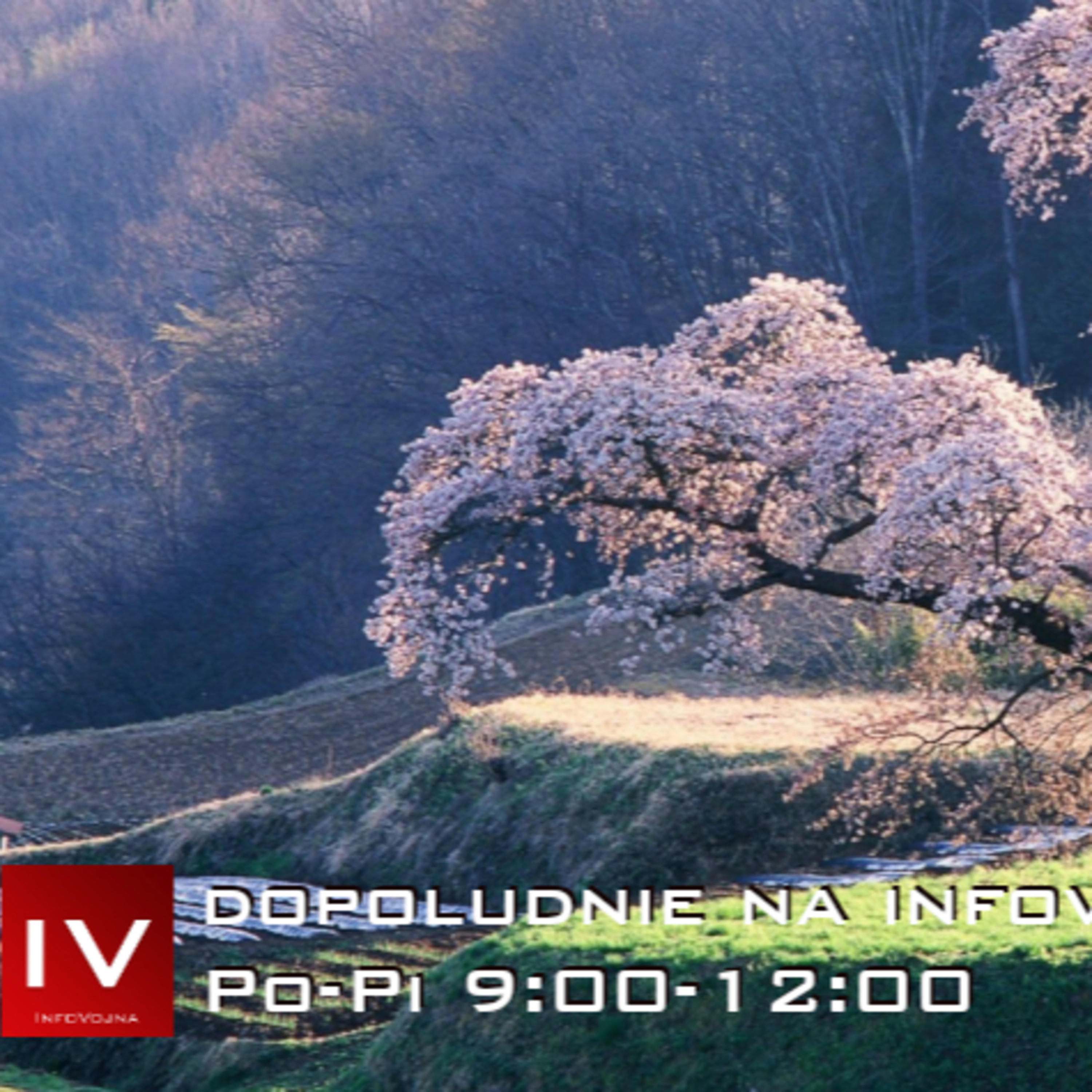 Dopoludnie na Infovojne s Adrianom 16.6.2023 episode artwork