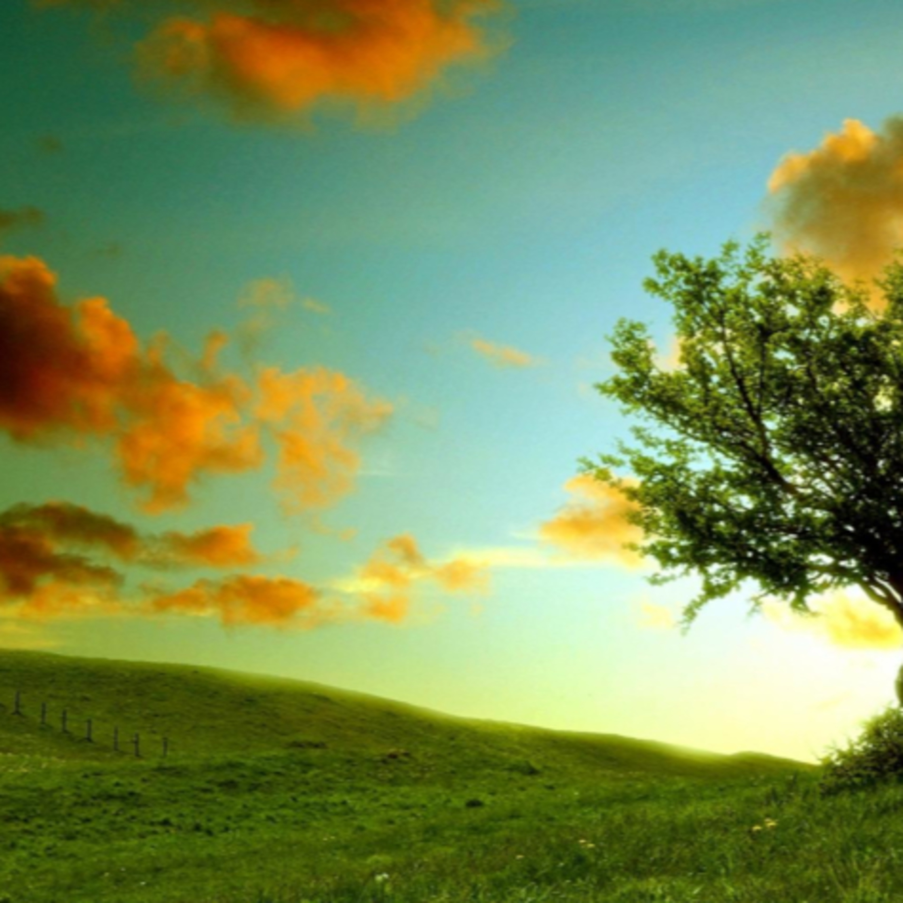 Dopoludnie na Infovojne s Adrianom 11.9.2024