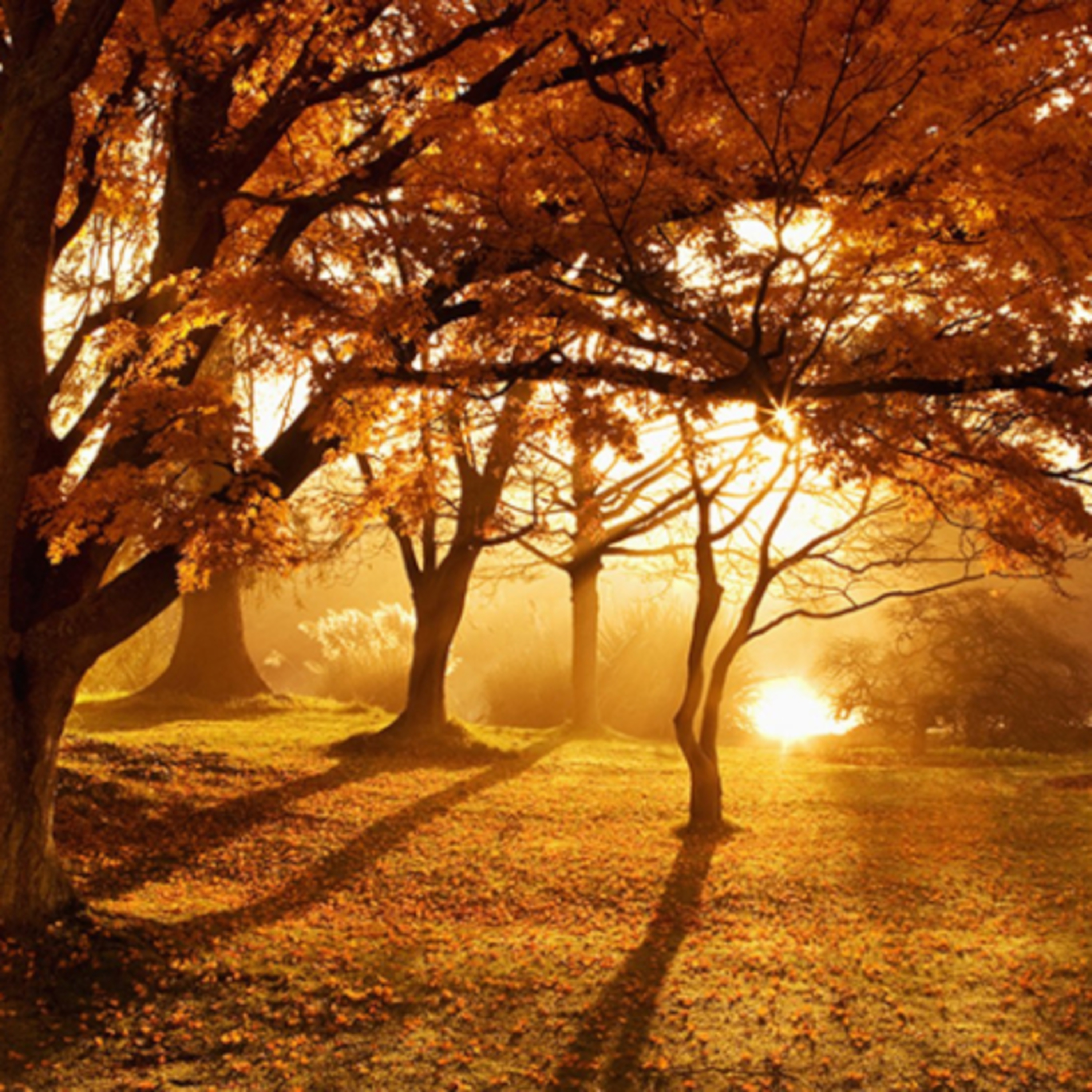 Dopoludnie na Infovojne s Adrianom 4.12.2024