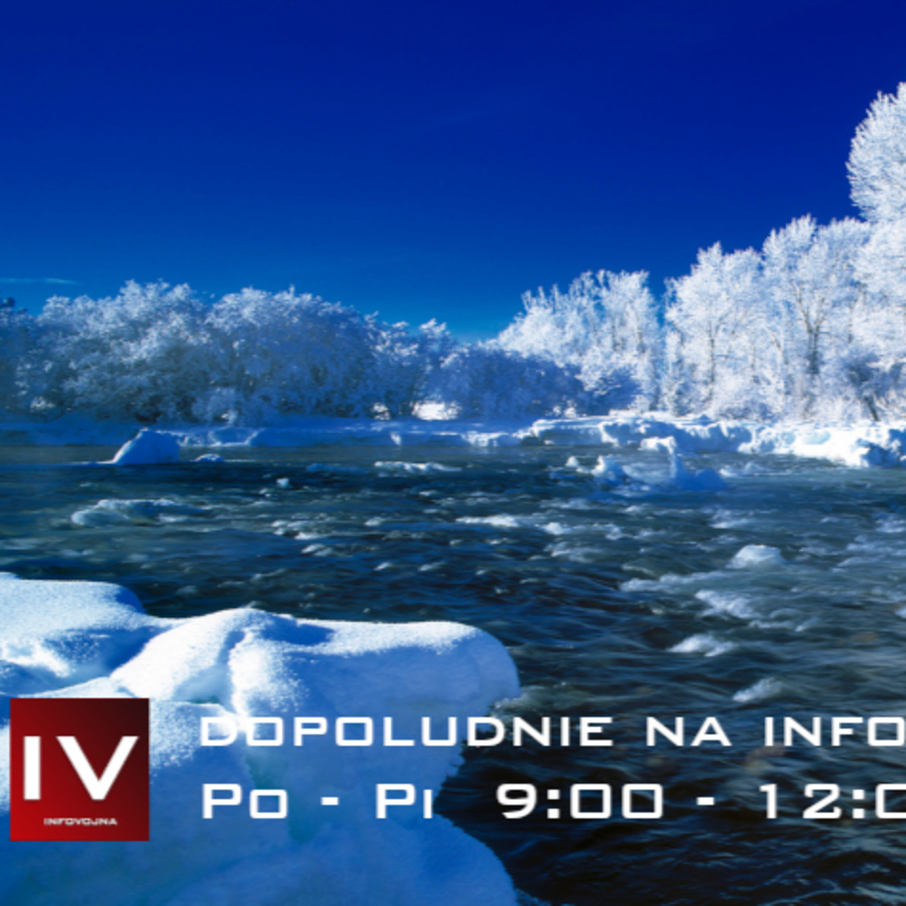 Infovojna archív