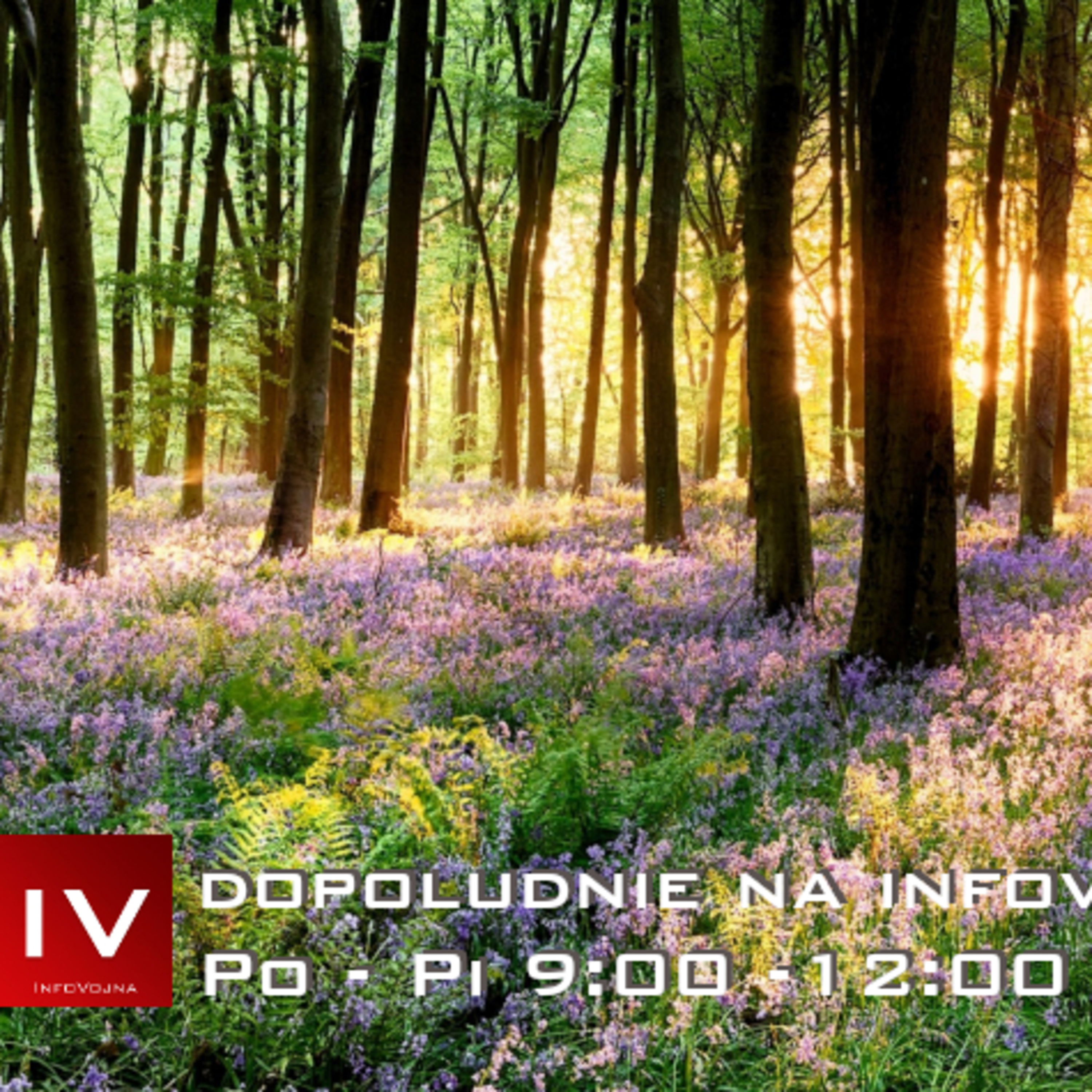 Dopoludnie na Infovojne s Adrianom 25.3.2025