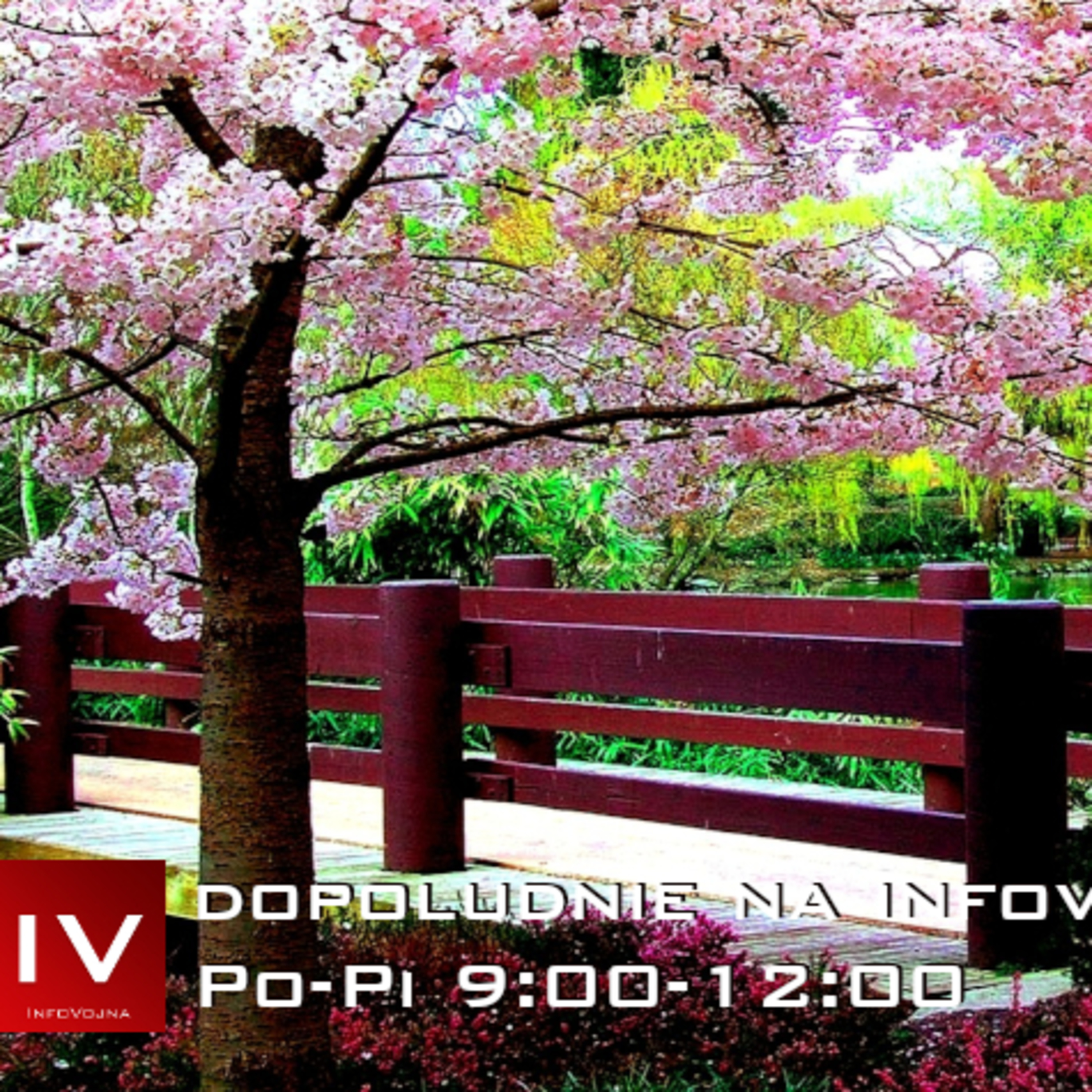 Dopoludnie na Infovojne s Adrianom 4.4.2025 episode artwork