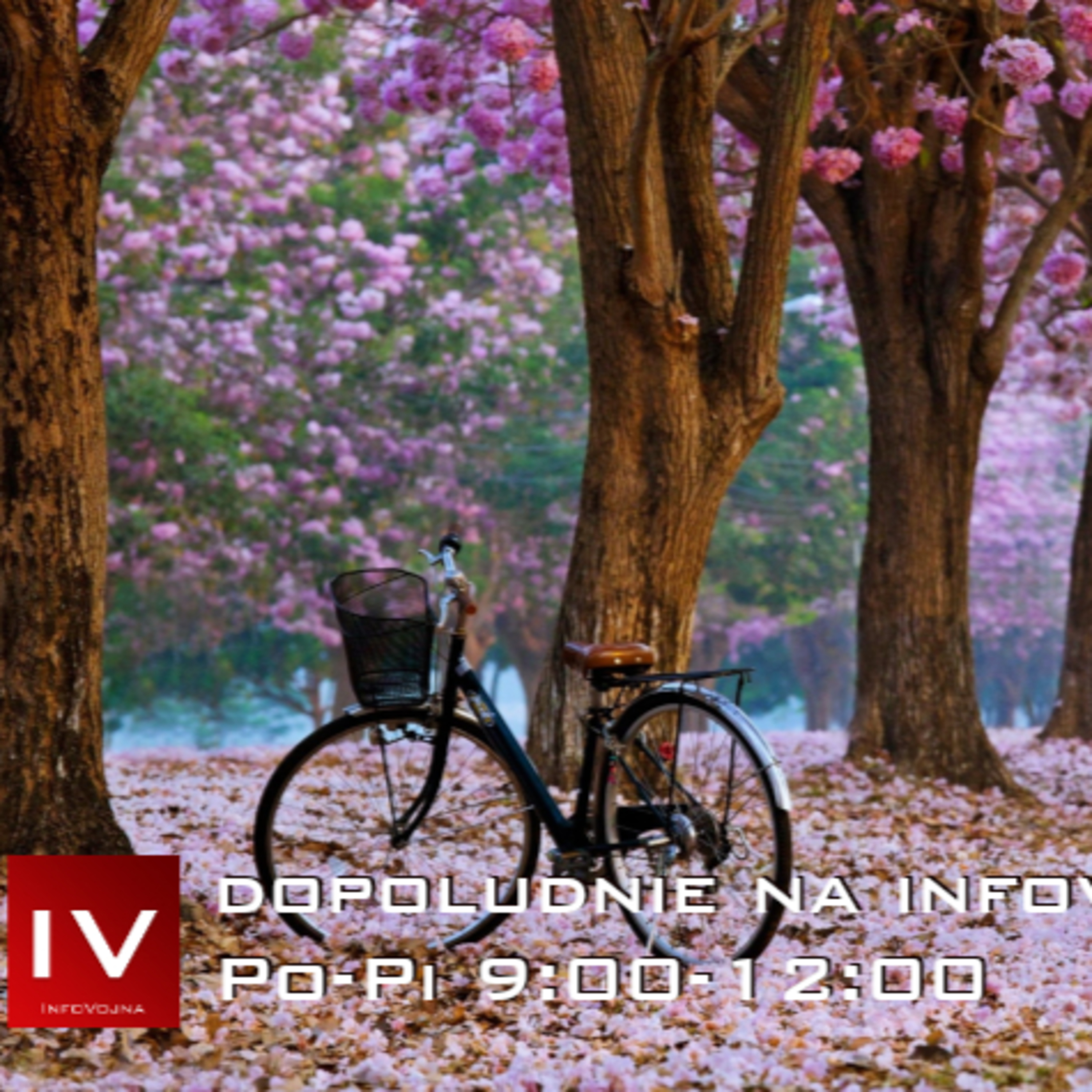 Dopoludnie na Infovojne s Adrianom 8.4.2025