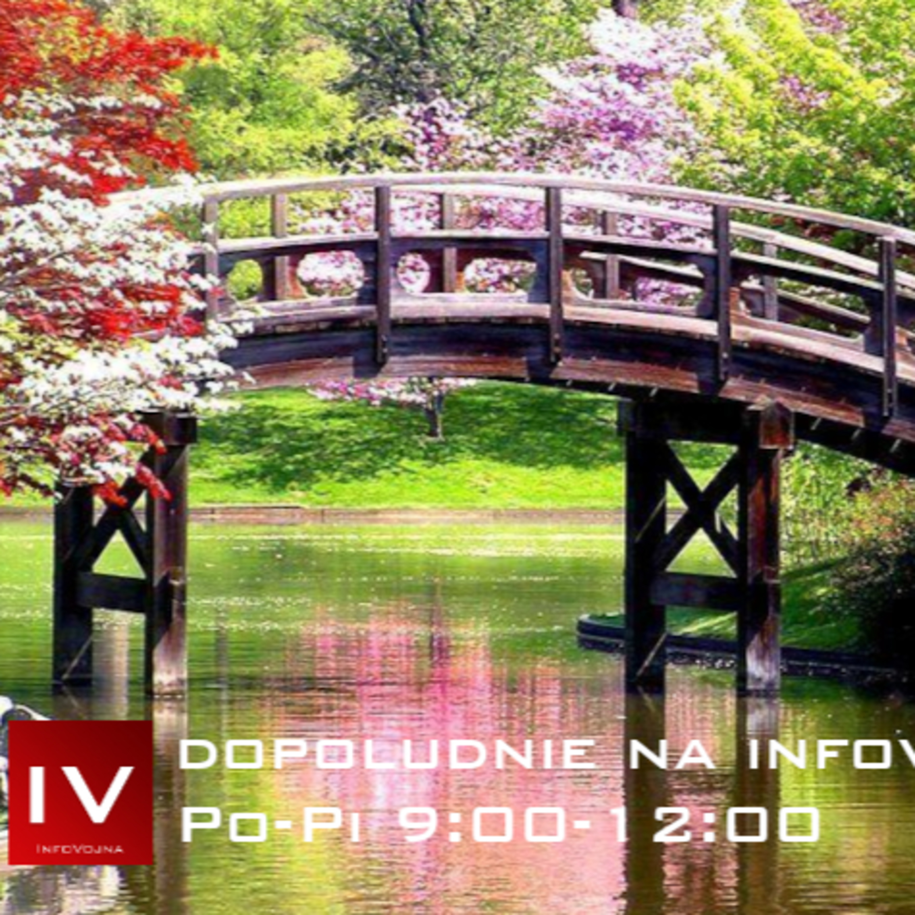 Dopoludnie na Infovojne s Adrianom 14.4.2025 episode artwork