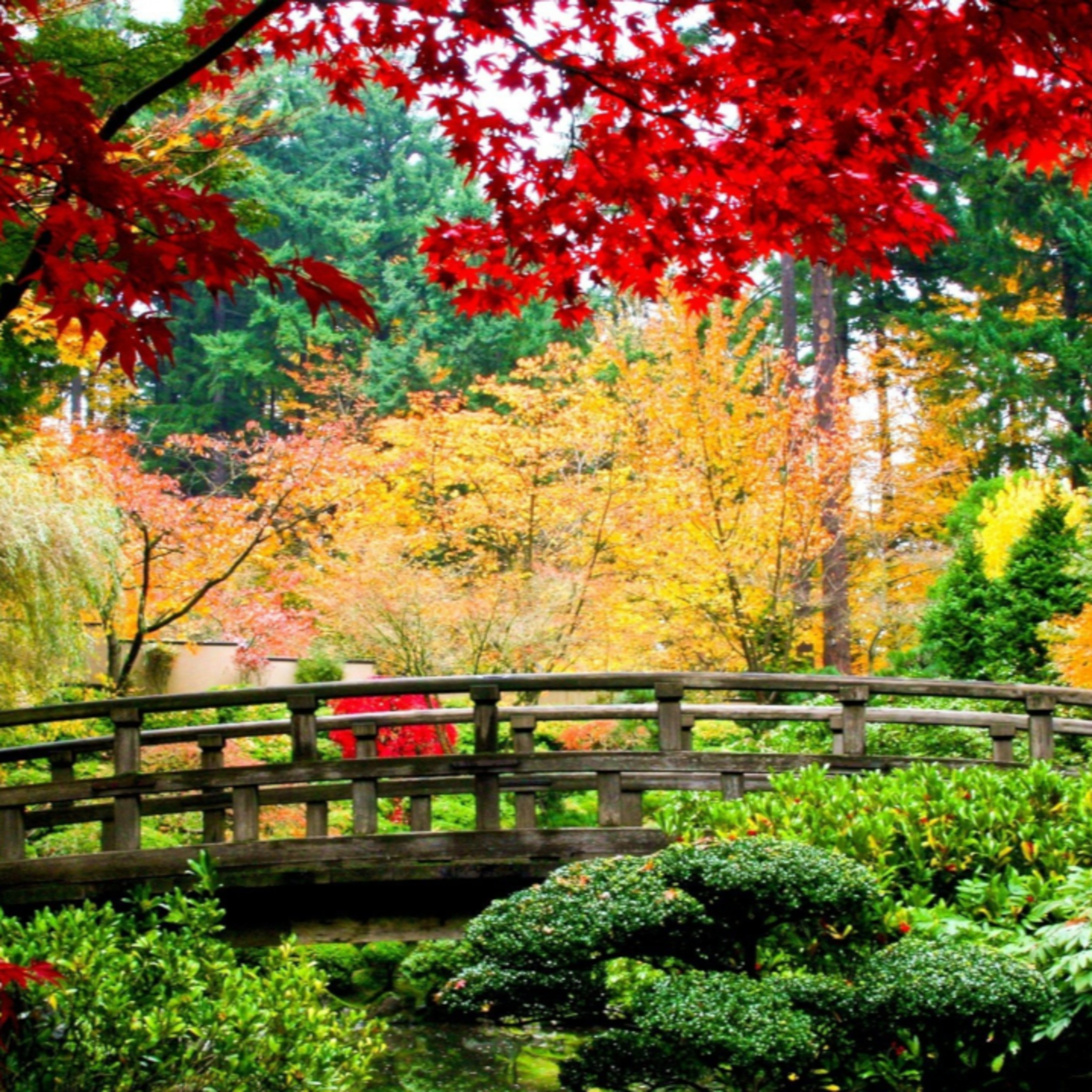 Dopoludnie na Infovojne s Adrianom 6.5.2025