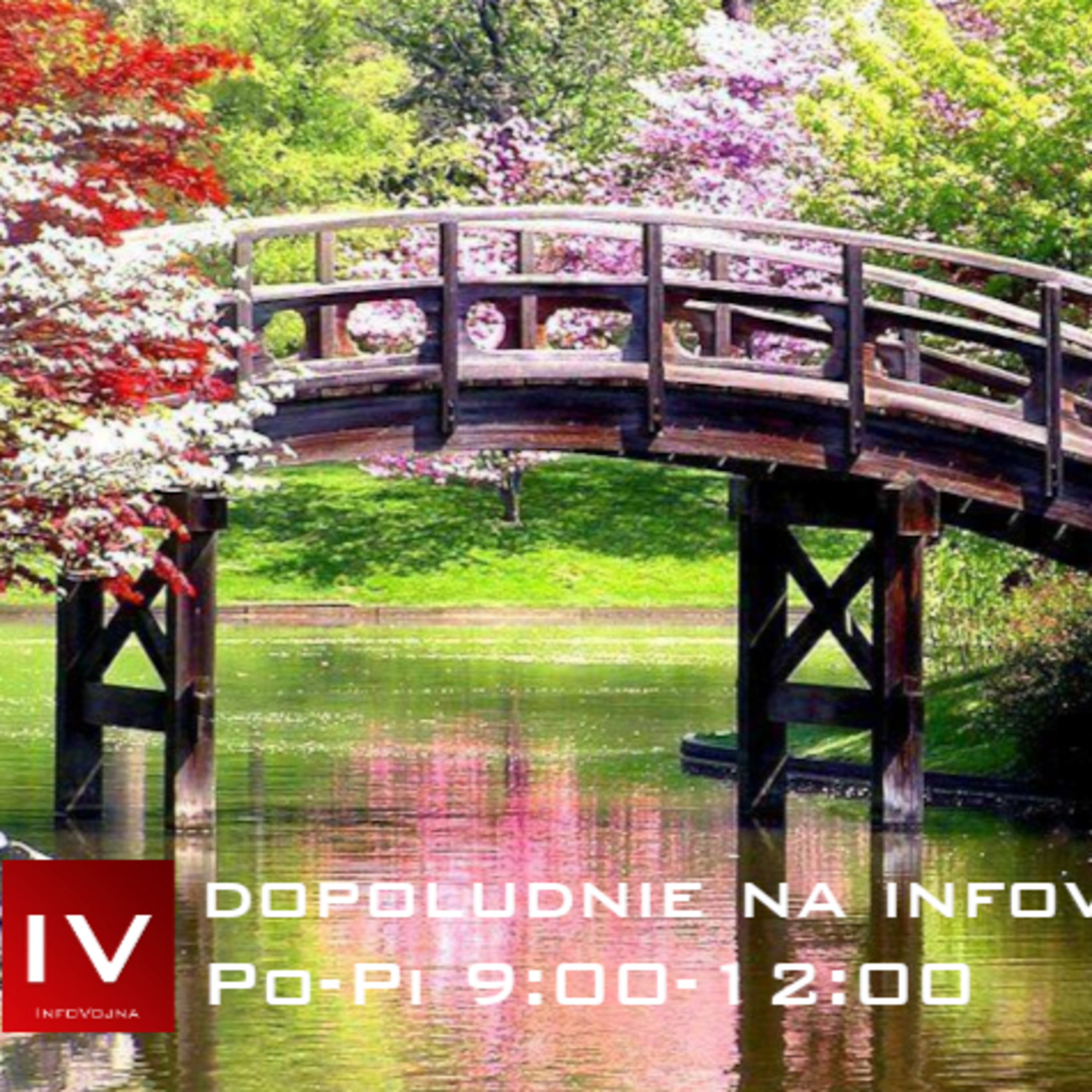 Dopoludnie na Infovojne s Adrianom 20.5.2025 episode artwork