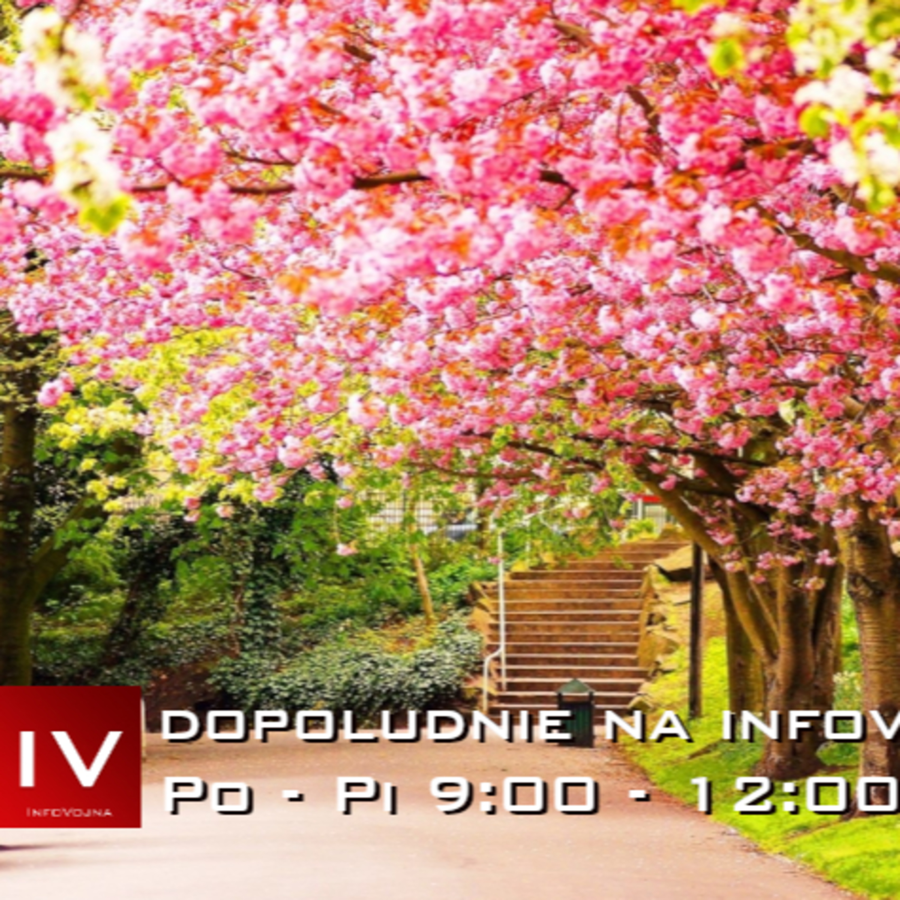 Dopoludnie na Infovojne s Adrianom 4.6.2025 episode artwork