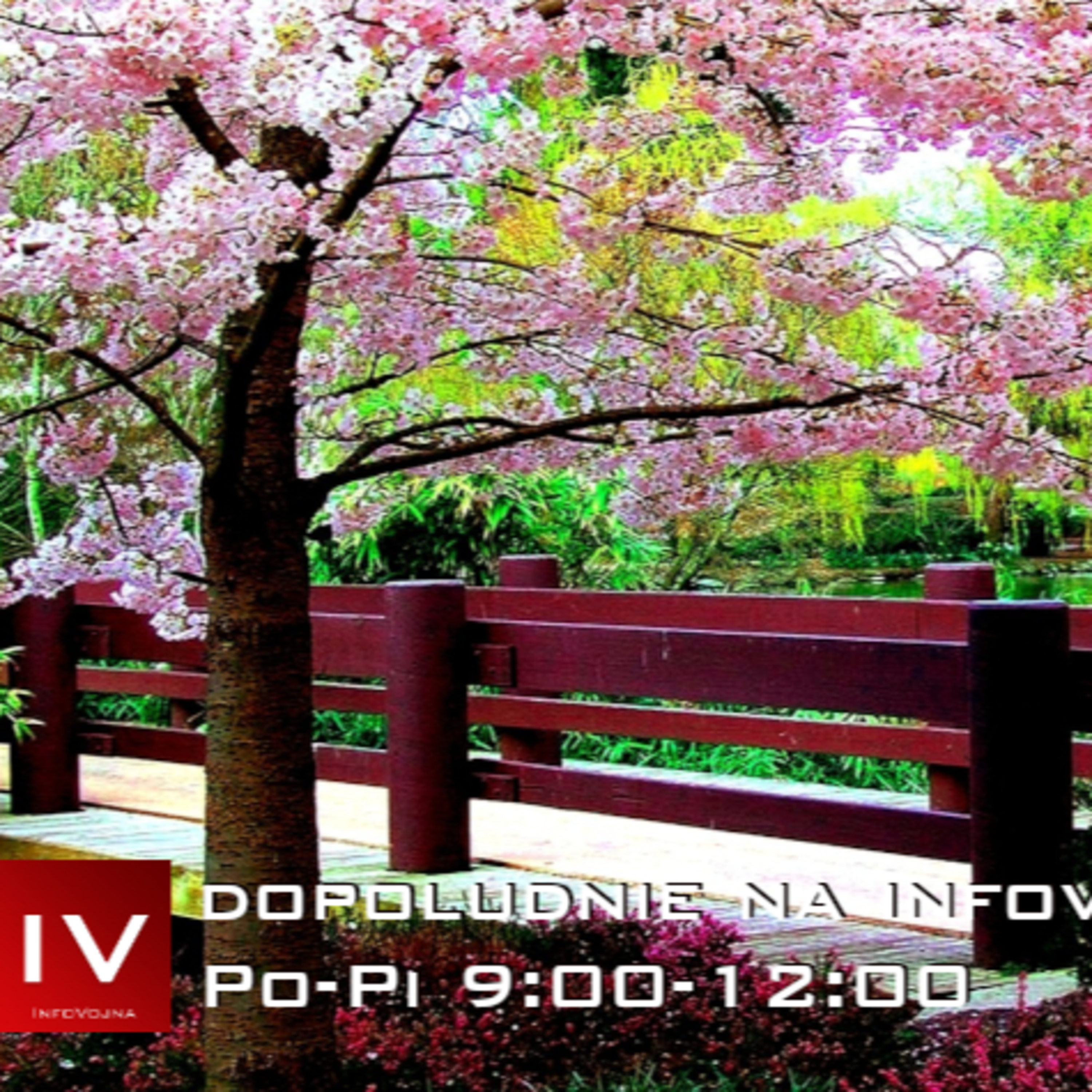 Dopoludnie na Infovojne s Adrianom 12.6.2025 episode artwork