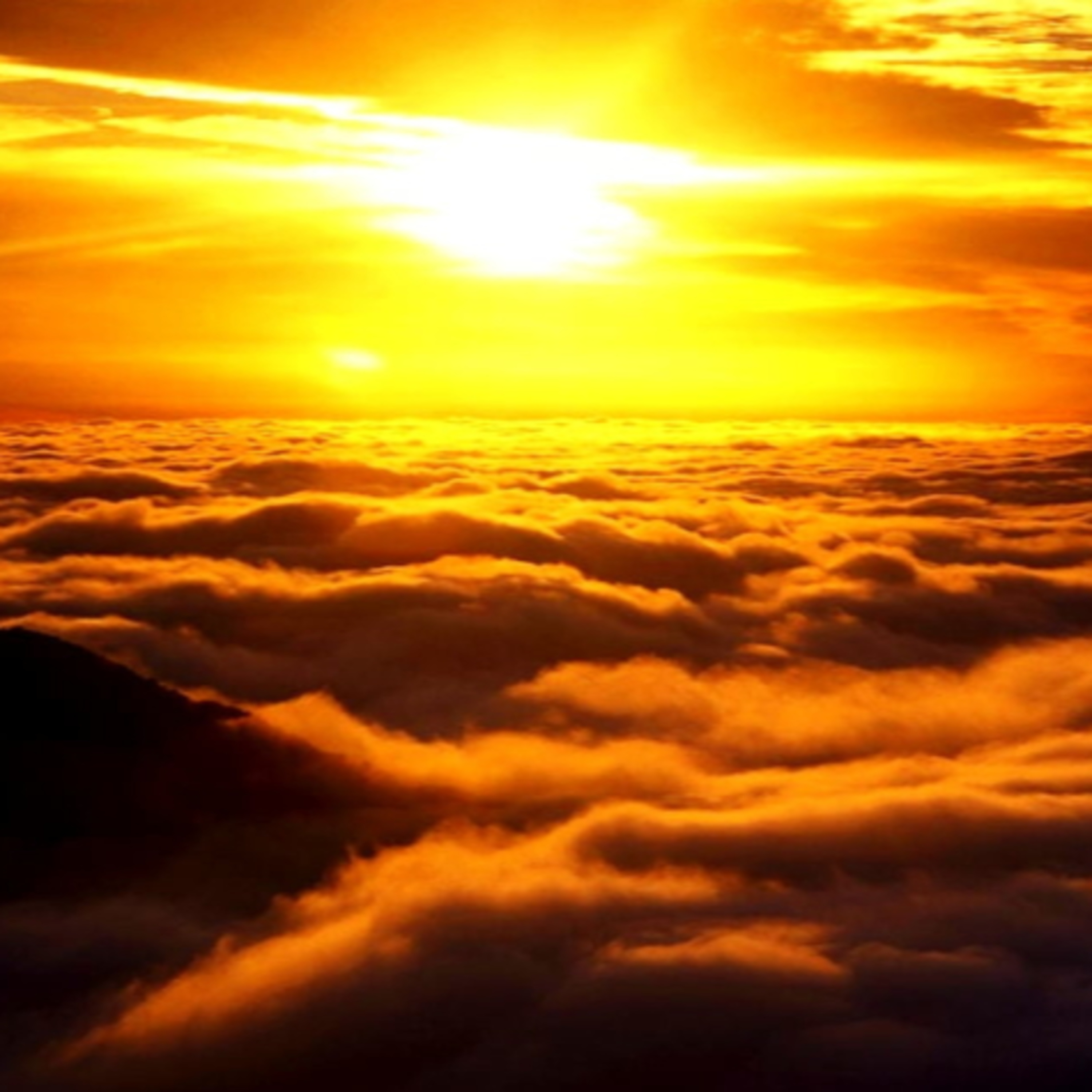 Dopoludnie na Infovojne s Adrianom 31.7.2025