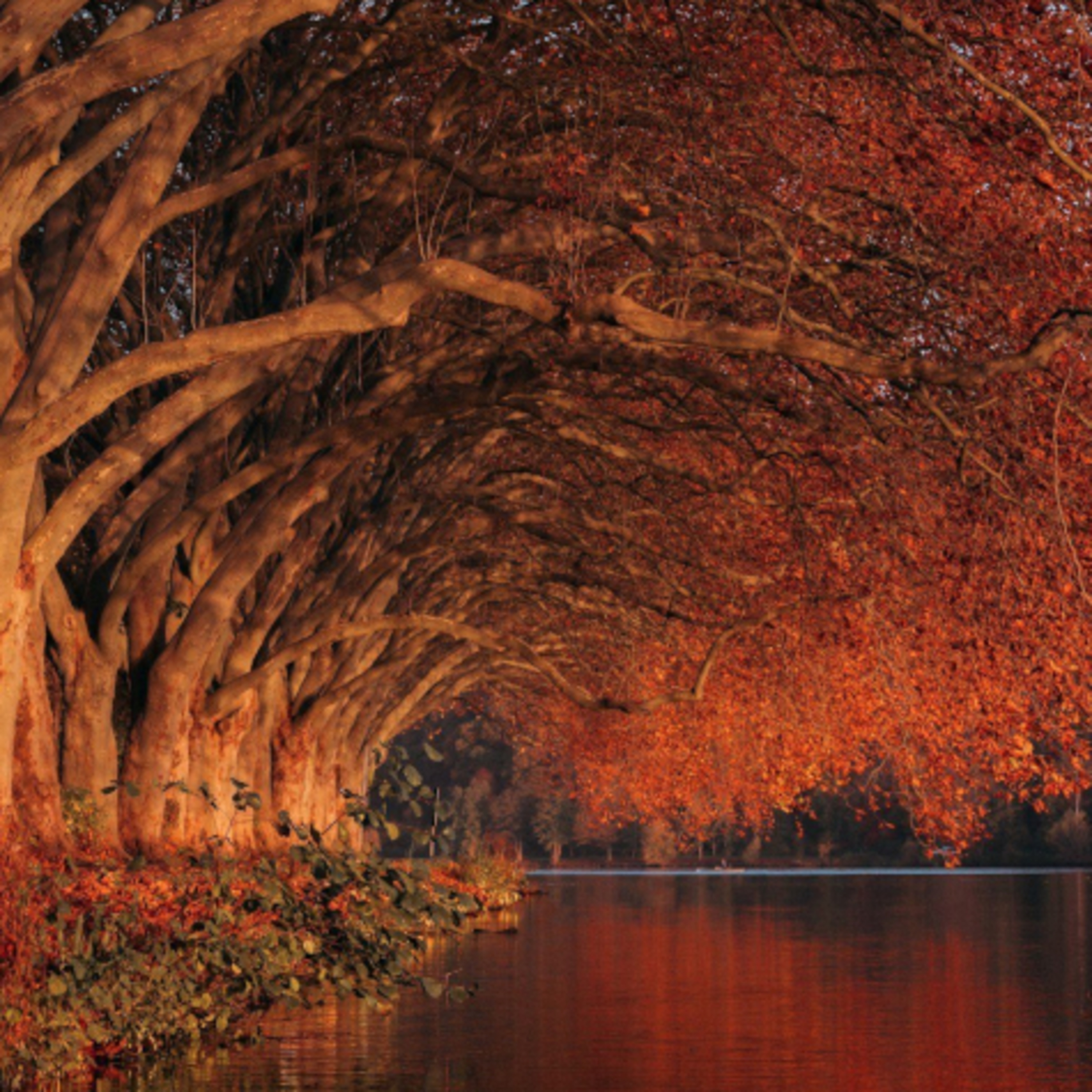 Dopoludnie na InfoVojne s Adrianom 24.9.2025