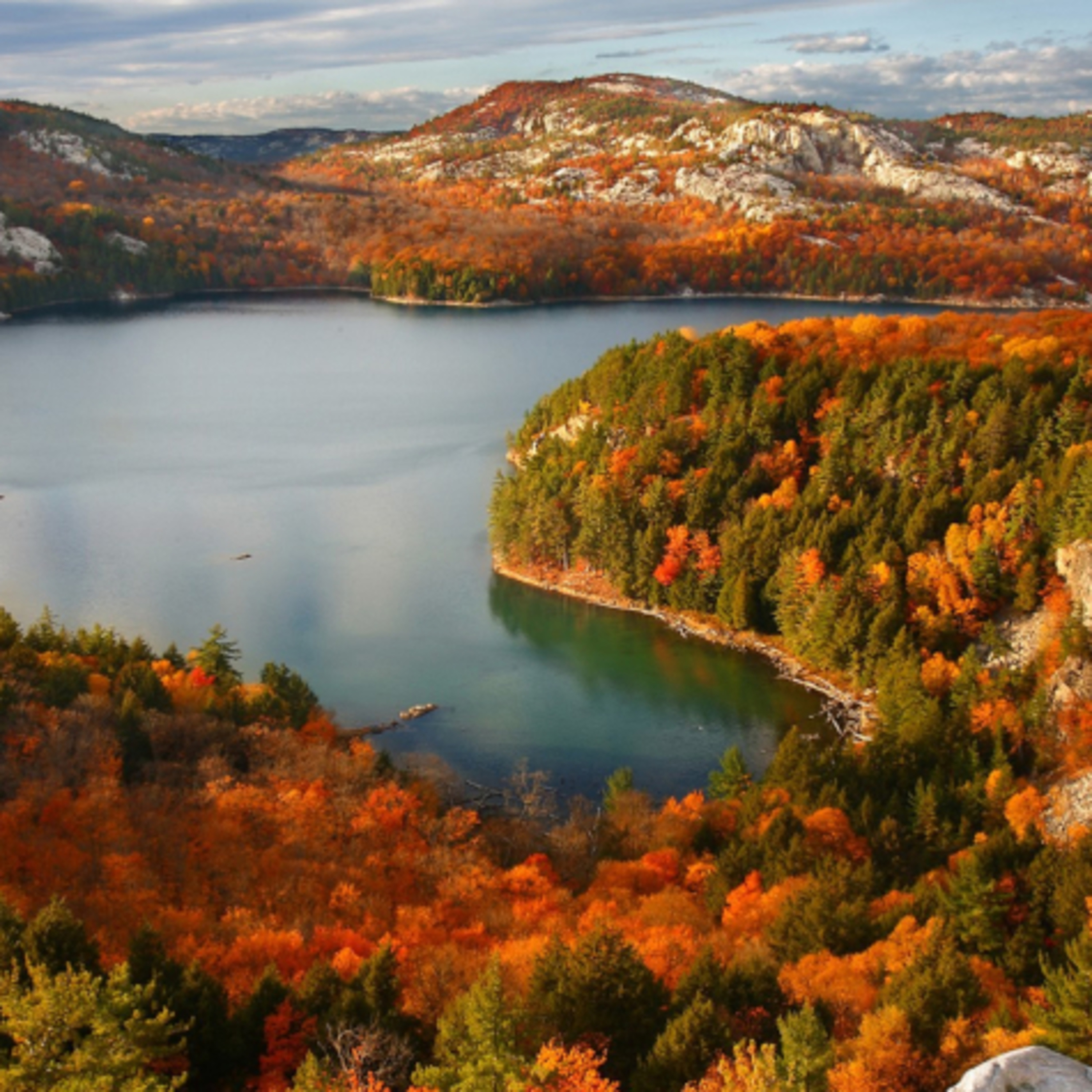 Dopoludnie na InfoVojne s Adrianom 23.10.2025