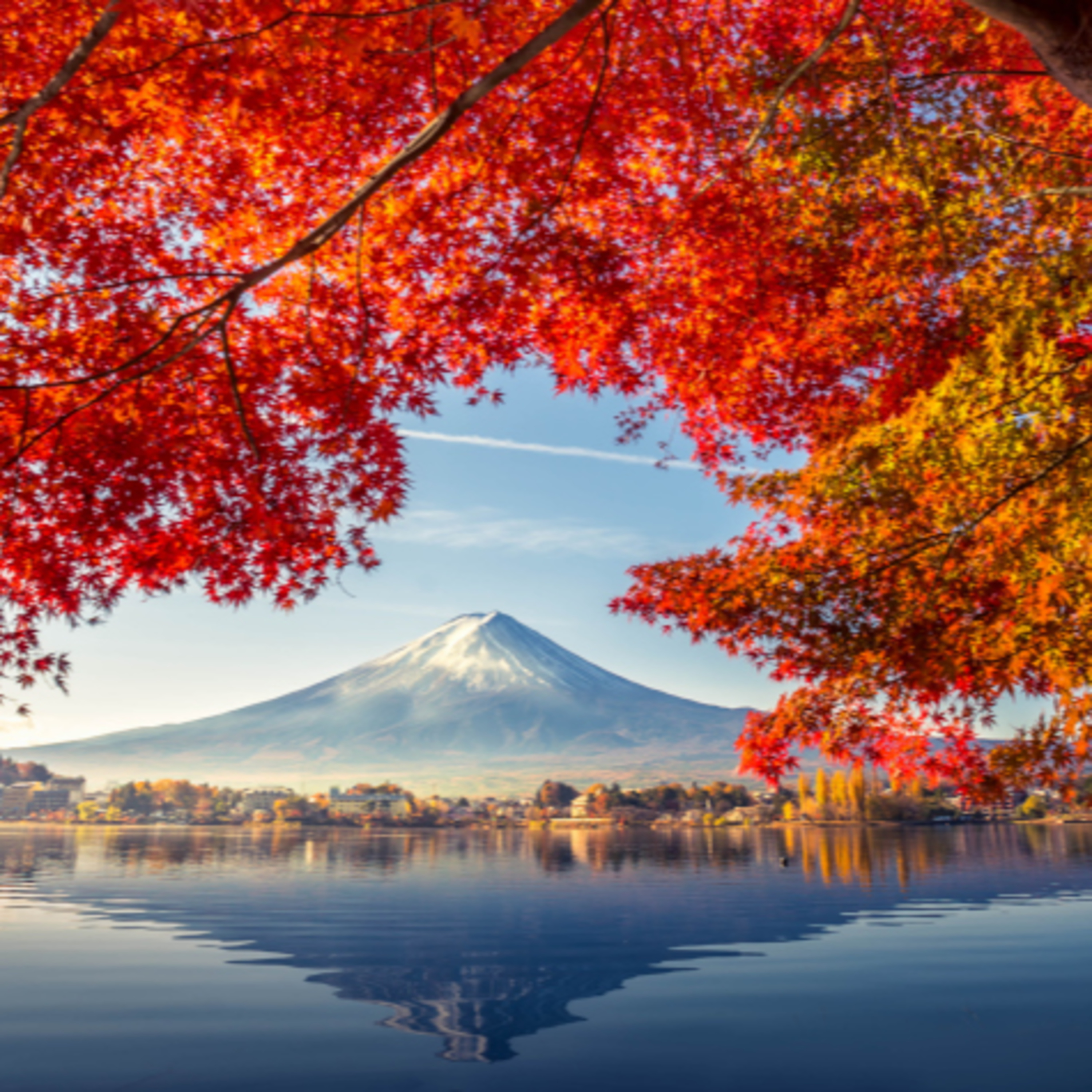 Dopoludnie na InfoVojne s Adrianom 29.10.2025