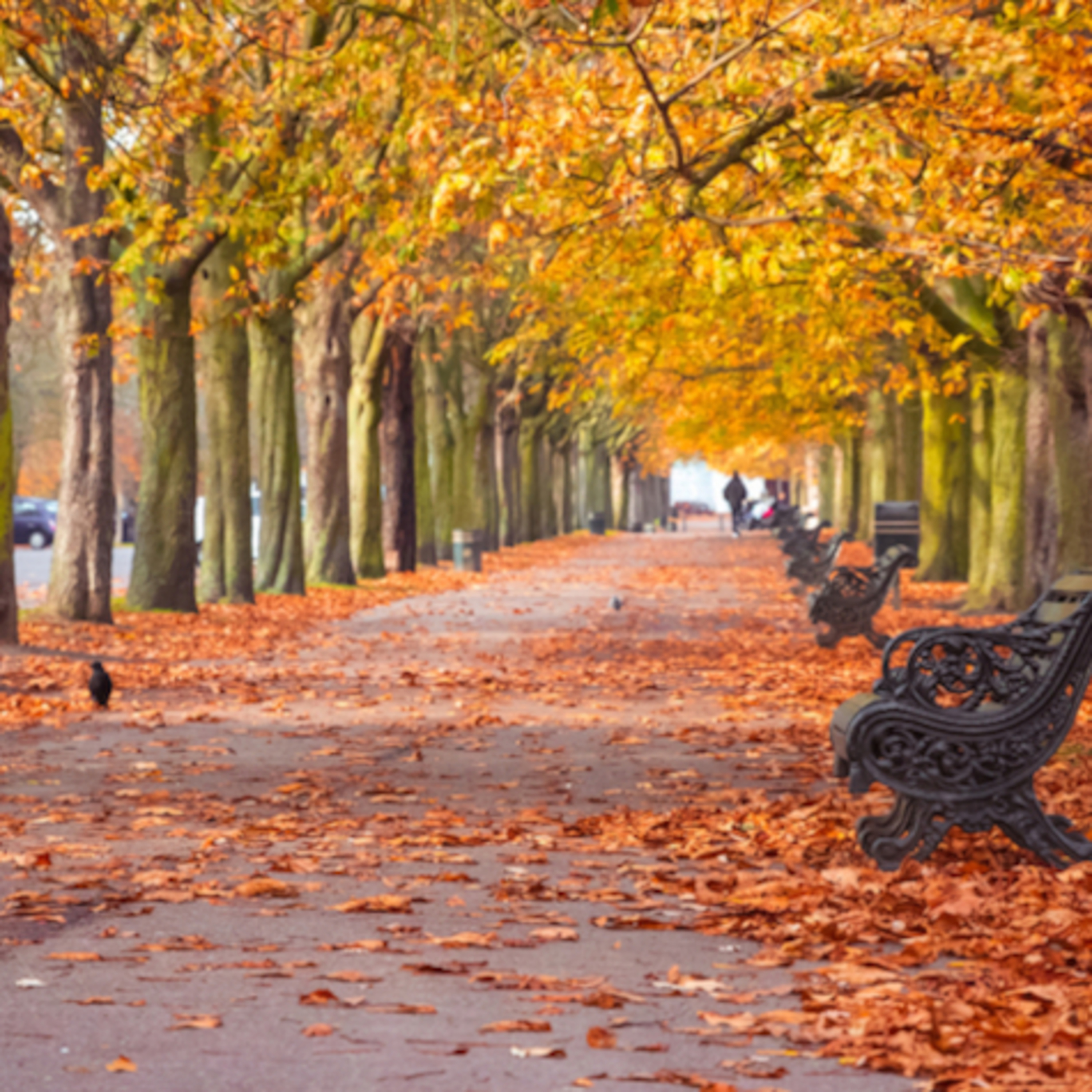 Dopoludnie na InfoVojne s Adrianom 20.11.2025