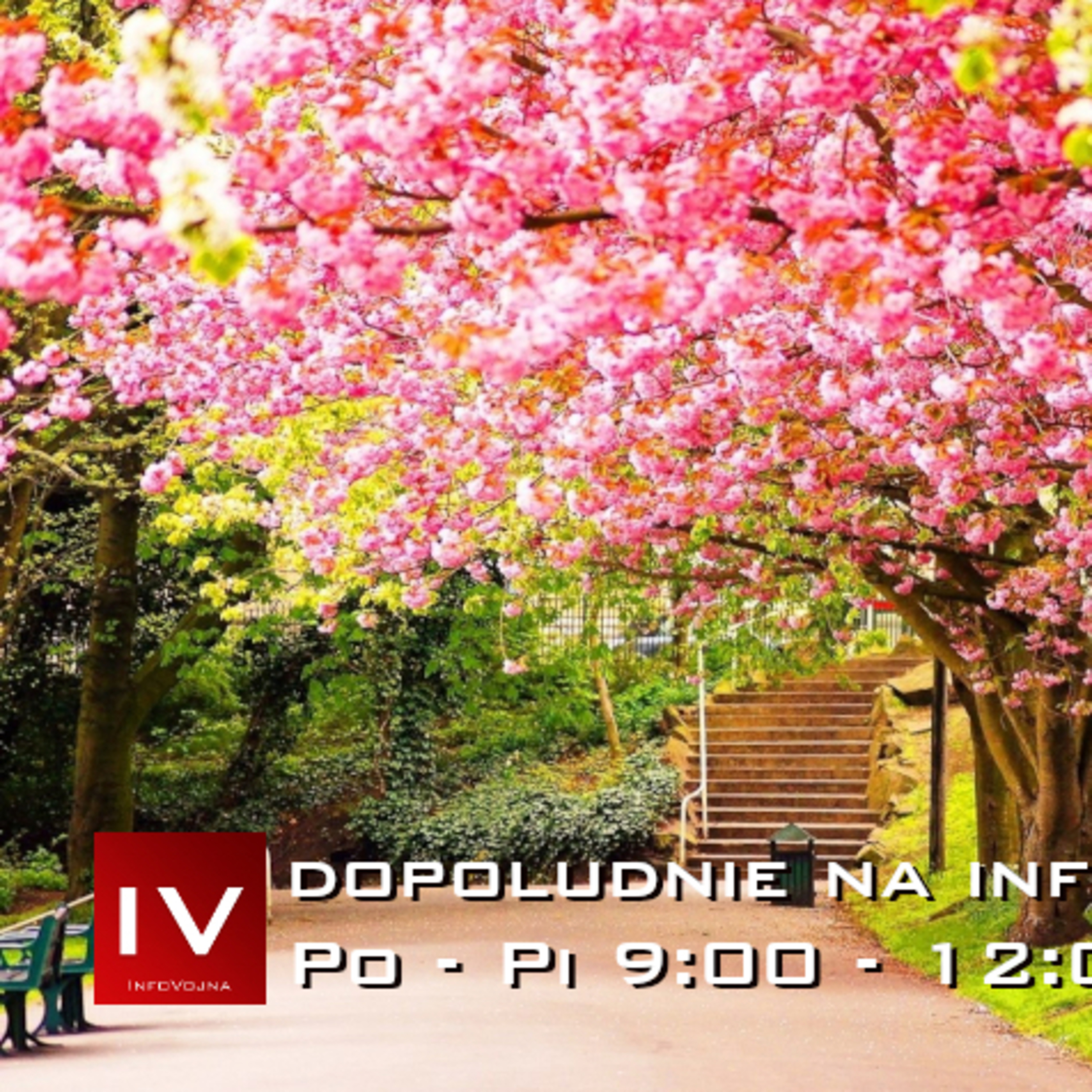 Dopoludnie na InfoVojne s Adrianom 25.3.2026