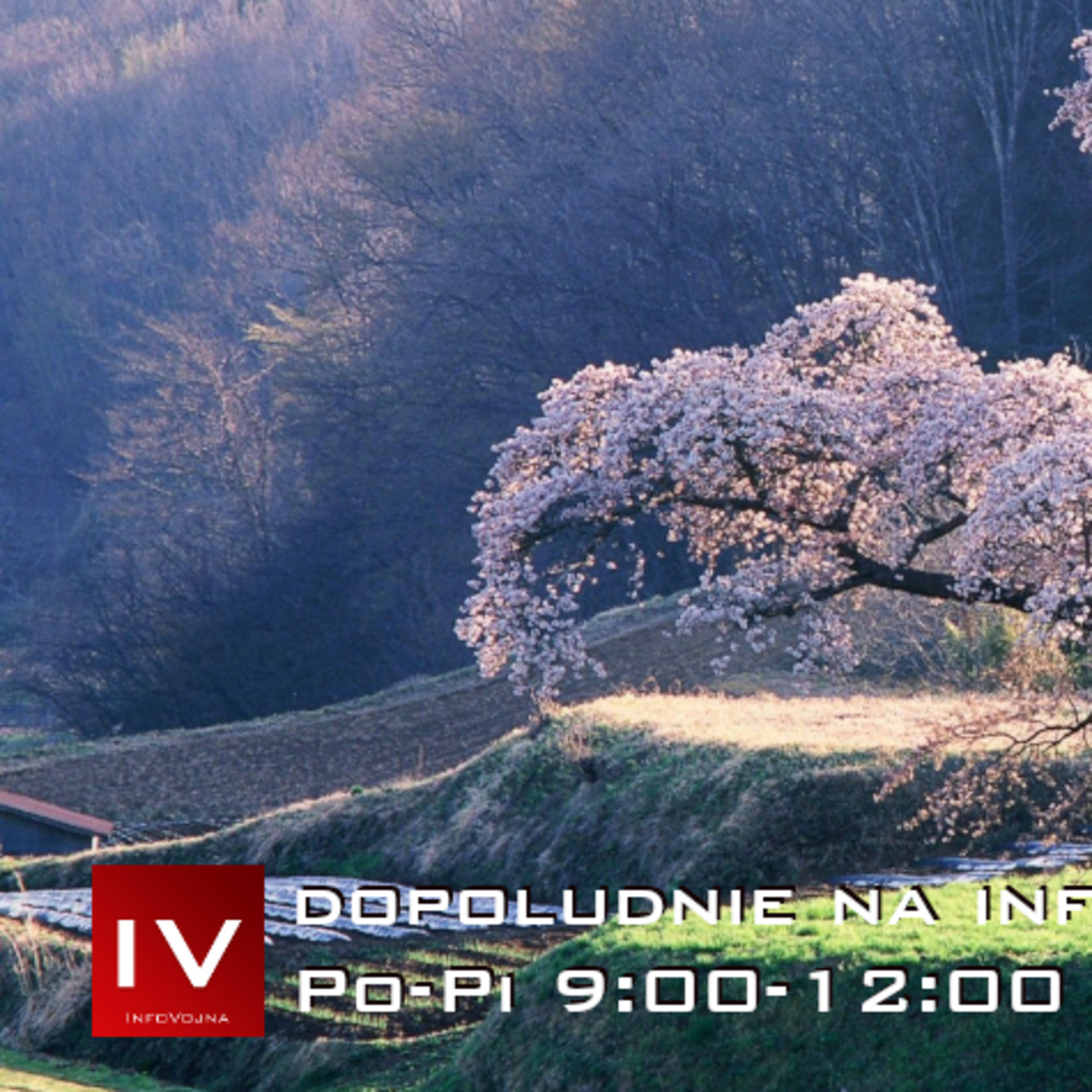 Dopoludnie na InfoVojne s Adrianom 1.4.2026