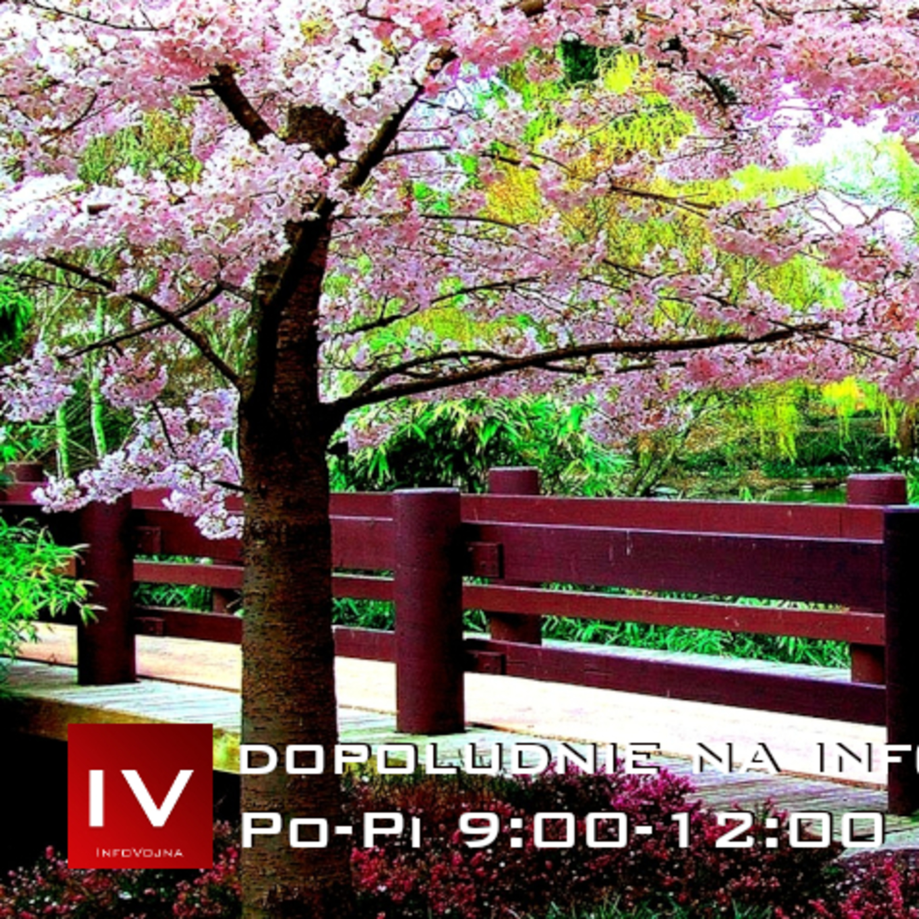 Dopoludnie na InfoVojne s Adrianom 8.4.2026