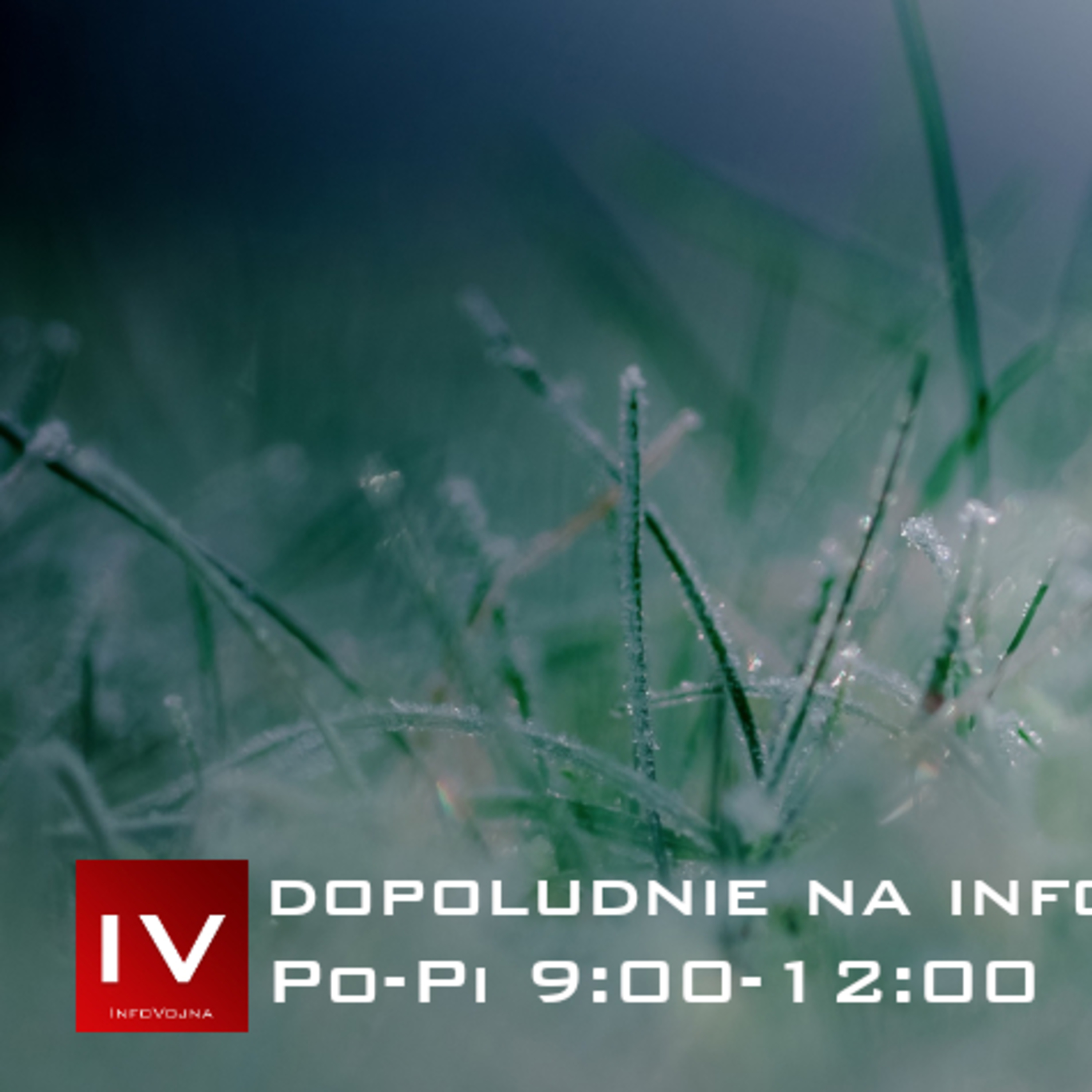 Dopoludnie na InfoVojne s Adrianom 15.4.2026